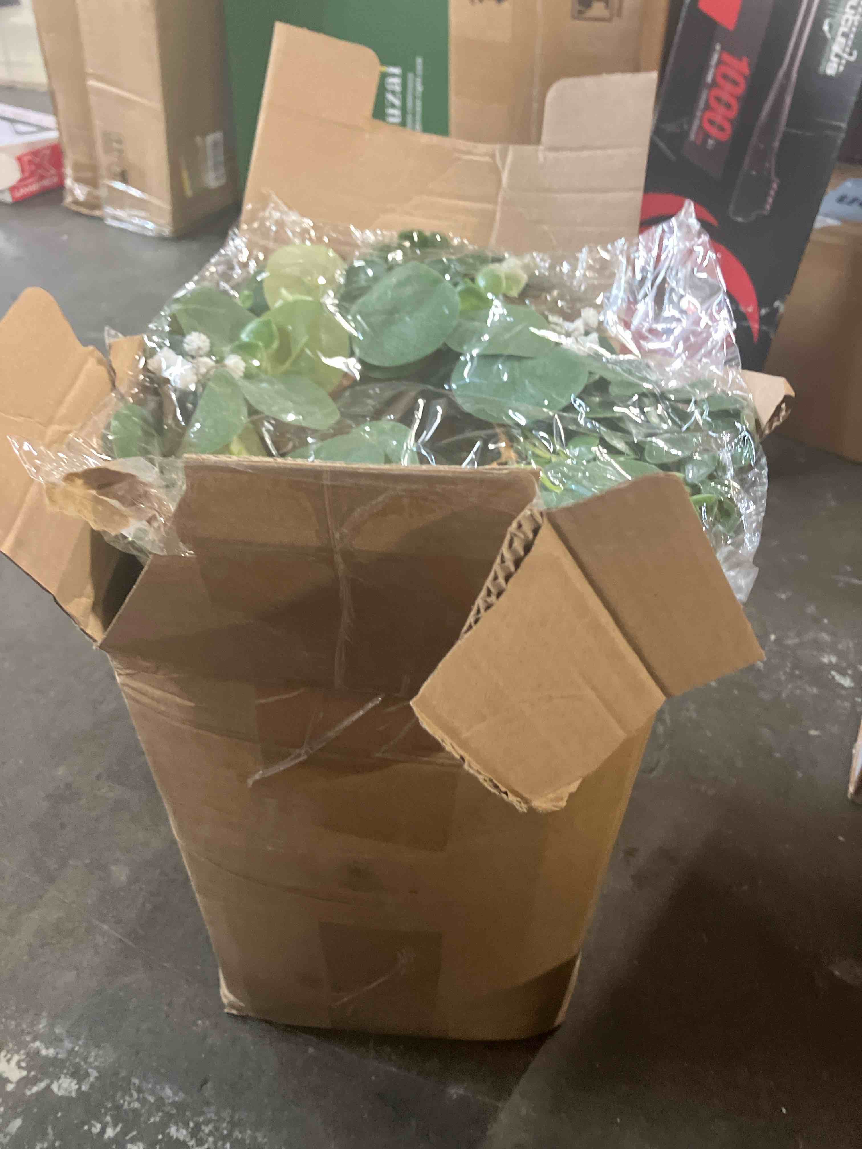 https://s3.amazonaws.com/lotting-images-prod/phillipi/TEA3363049_1760035525127.jpeg