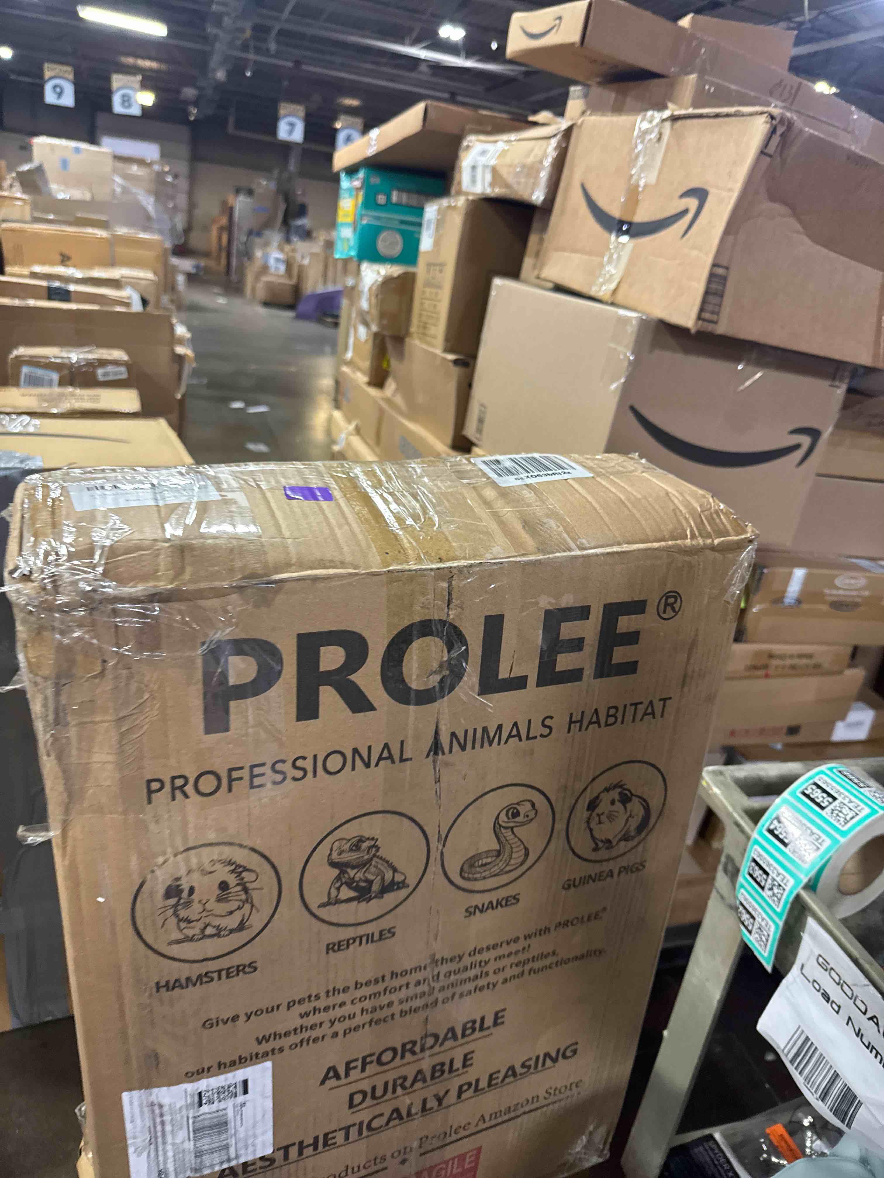 https://s3.amazonaws.com/lotting-images-prod/phillipi/TEA3365562_1759946304567.jpeg