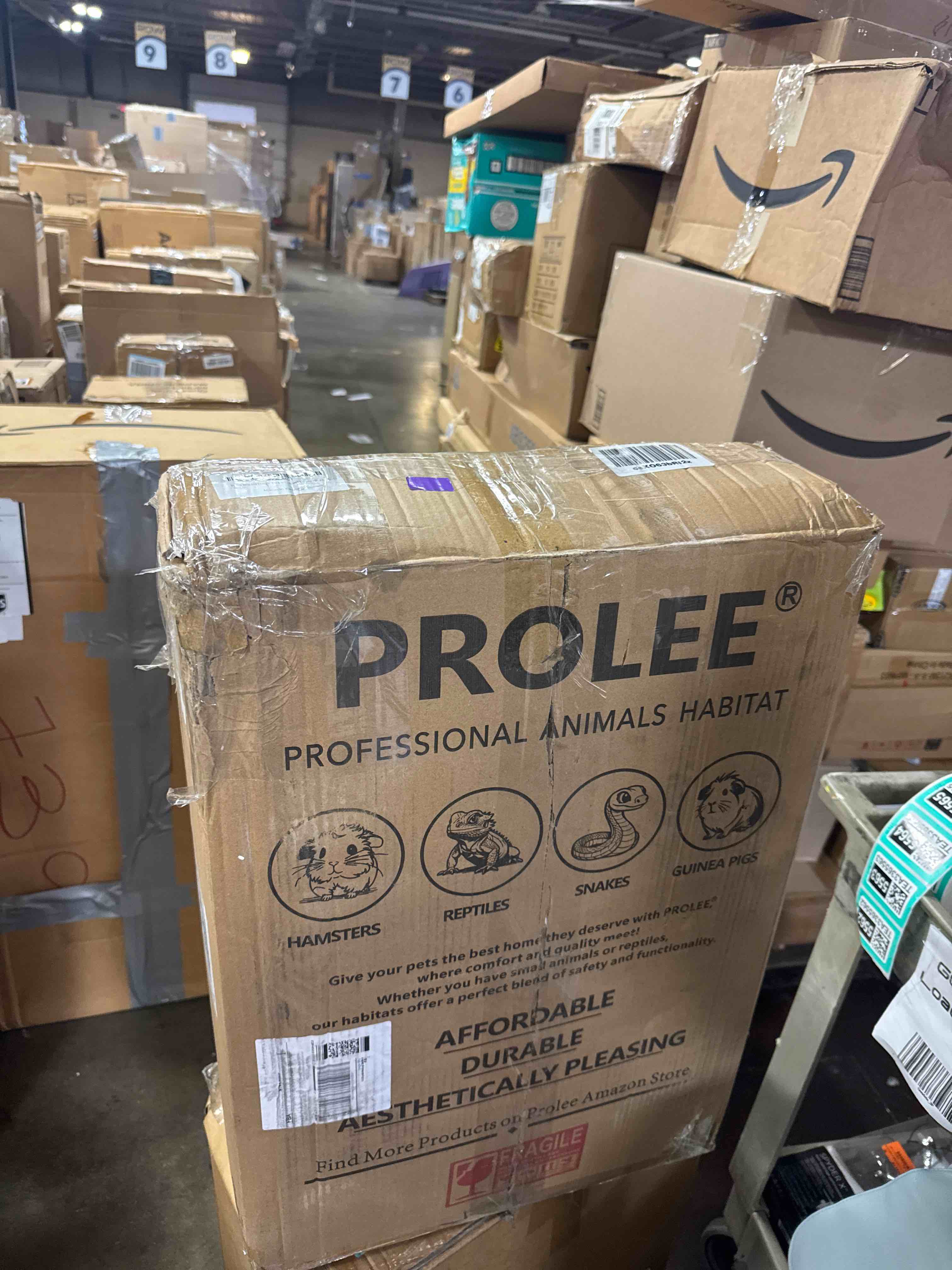 https://s3.amazonaws.com/lotting-images-prod/phillipi/TEA3365562_1759946305451.jpeg