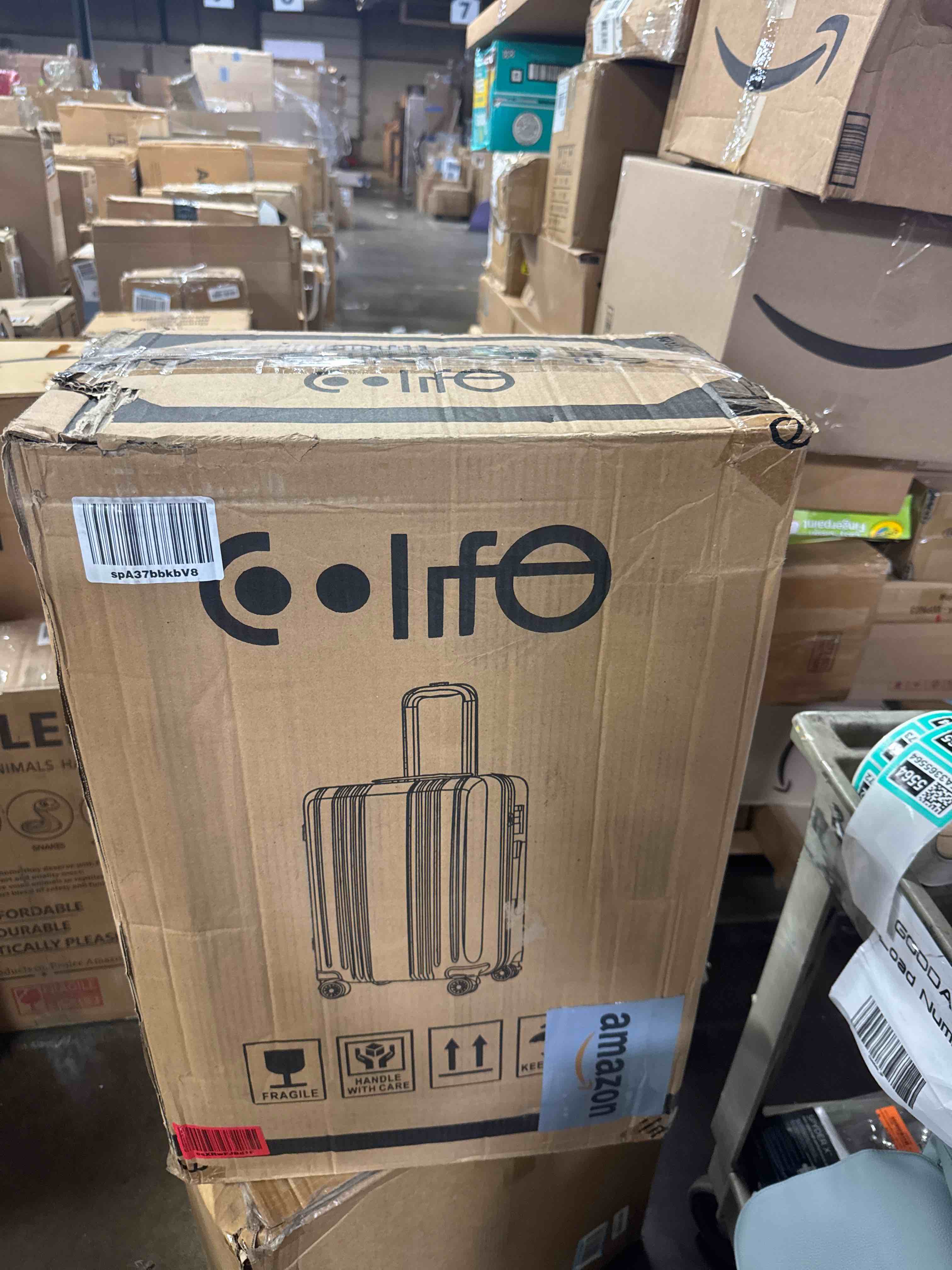 https://s3.amazonaws.com/lotting-images-prod/phillipi/TEA3365564_1759946473538.jpeg