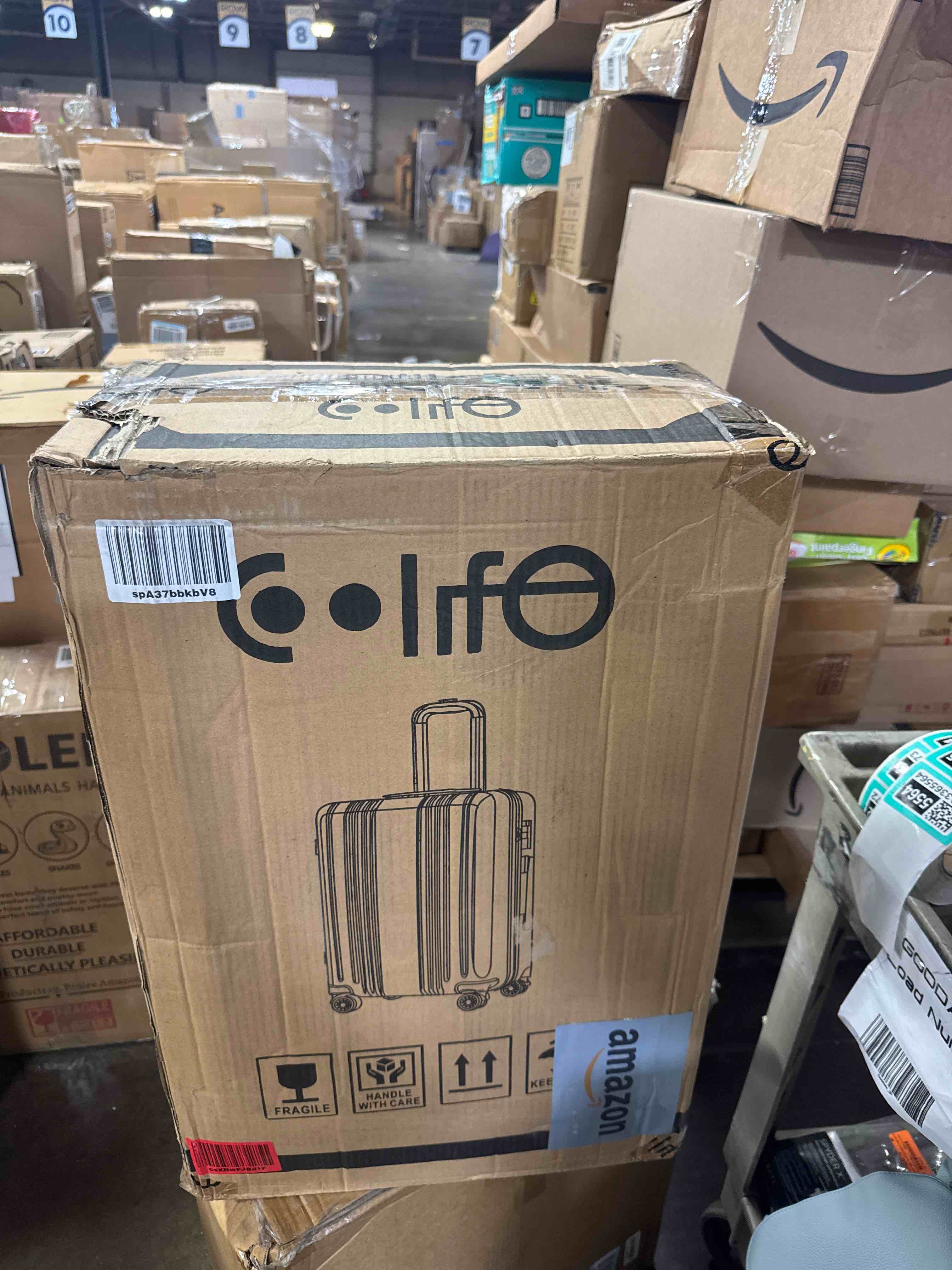 https://s3.amazonaws.com/lotting-images-prod/phillipi/TEA3365564_1759946474355.jpeg