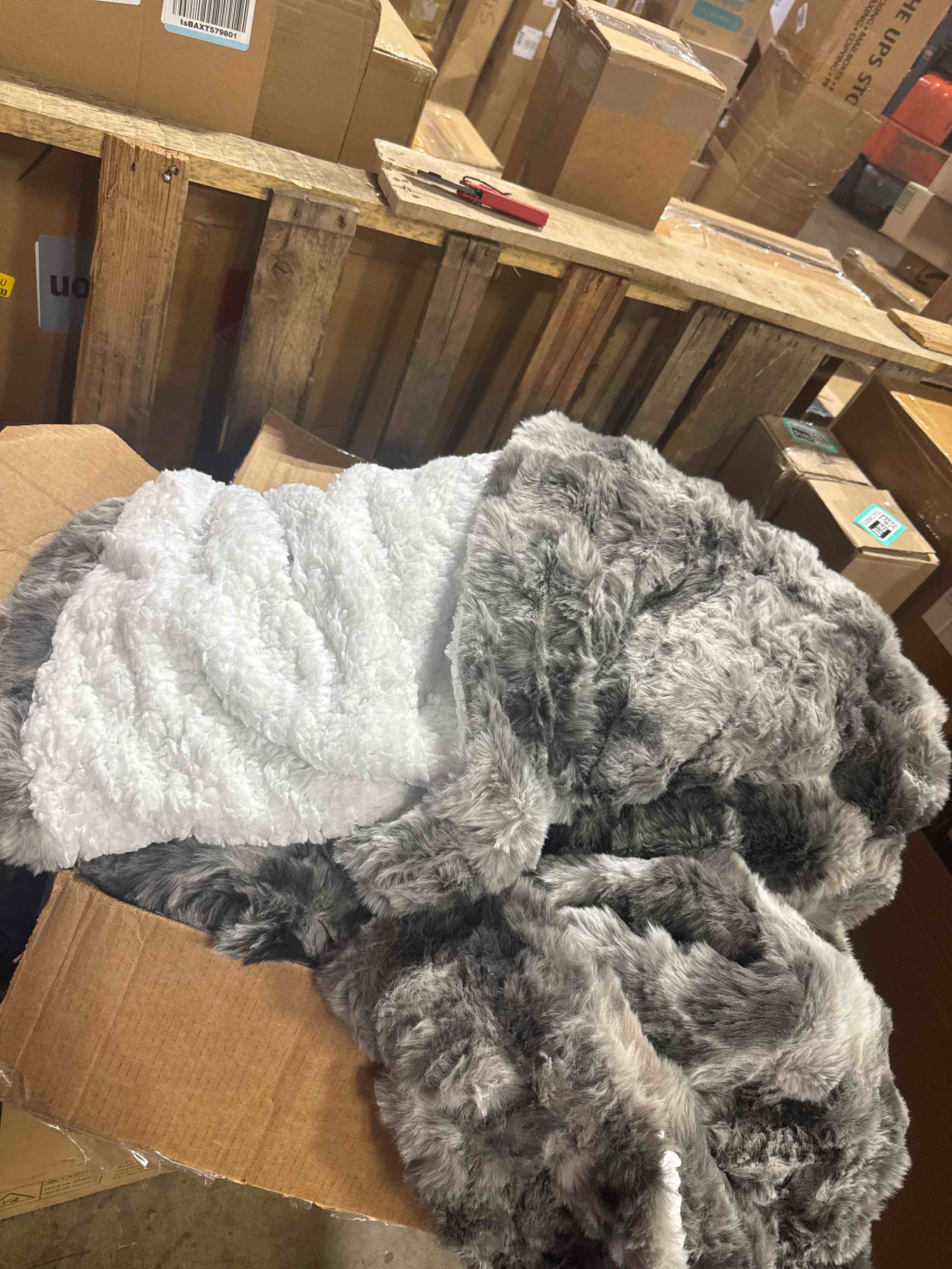 https://s3.amazonaws.com/lotting-images-prod/phillipi/TEA3365820_1760628292641.jpeg