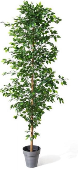 Terra Green Foliage AT8062-MN-240-MO 96 in. KD version Faux Ficus Artificial Tree