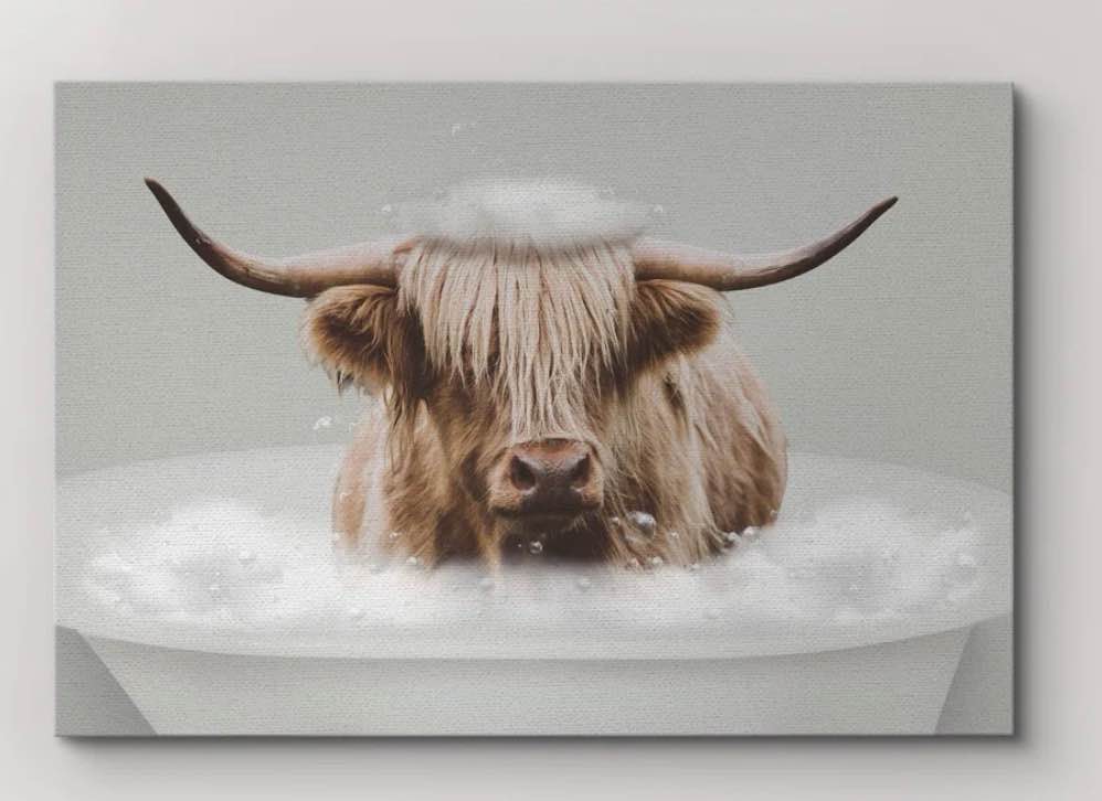 Cow " Funny Bathroom Decor Shetland Cow" 24" x 36" 