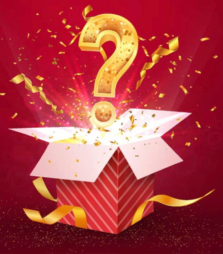 Mystery Boxes Christmas Edition.  Boxes Full of Christmas Decor and Christmas Themed Gifts! (Row 17 smalls)