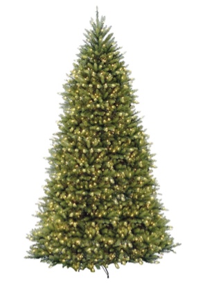 O Christmas Tree, O Christmas Tree, Bid On The Best Trees! (Row 17 Smalls)