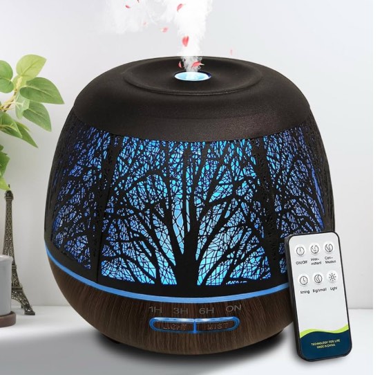 https://s3.amazonaws.com/lotting-images-prod/phillipi/TEA3367102_1751984304624.jpeg