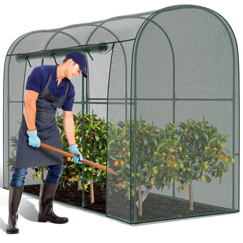 https://s3.amazonaws.com/lotting-images-prod/phillipi/TEA3367258_1752516079930.jpeg