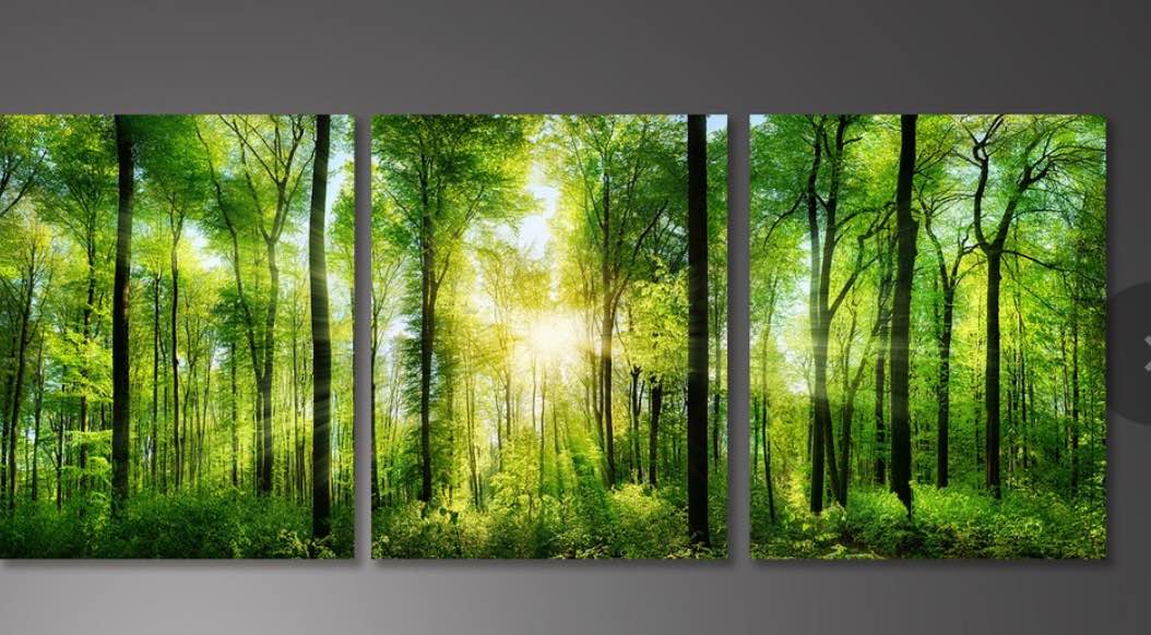 Pine Stretched Framed 3 Panels - Forest panorama with rays of sunlight - Canvas Print Wall Art