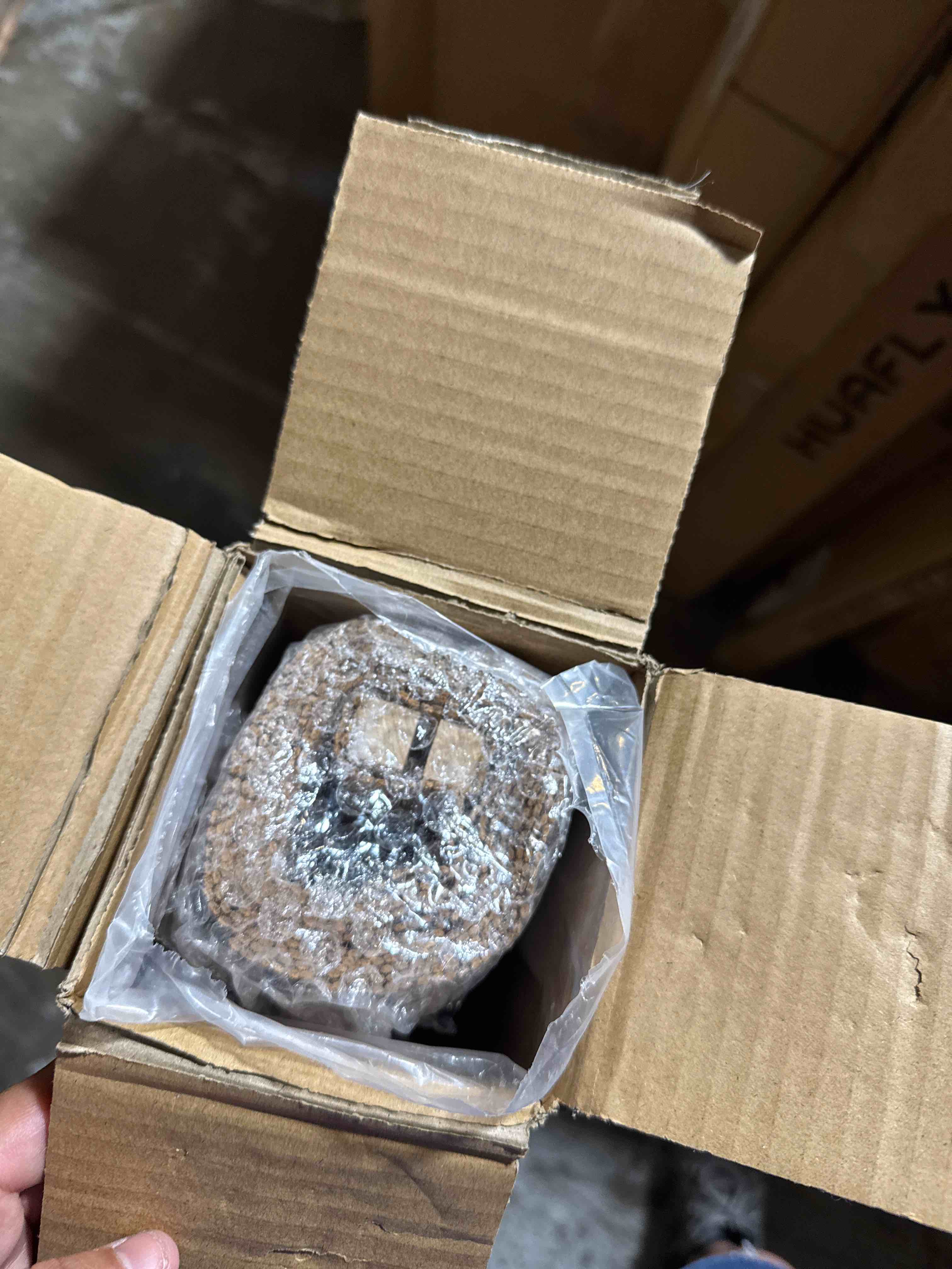 https://s3.amazonaws.com/lotting-images-prod/phillipi/TEA3367373_1752842782051.jpeg