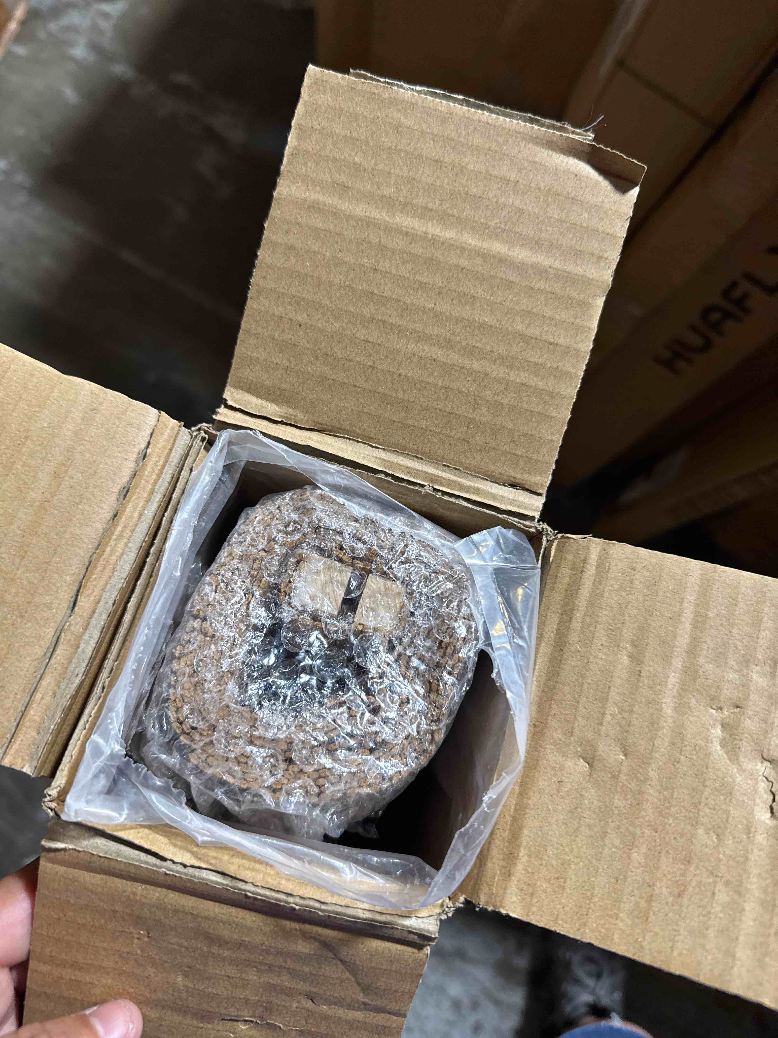https://s3.amazonaws.com/lotting-images-prod/phillipi/TEA3367373_1752842782952.jpeg