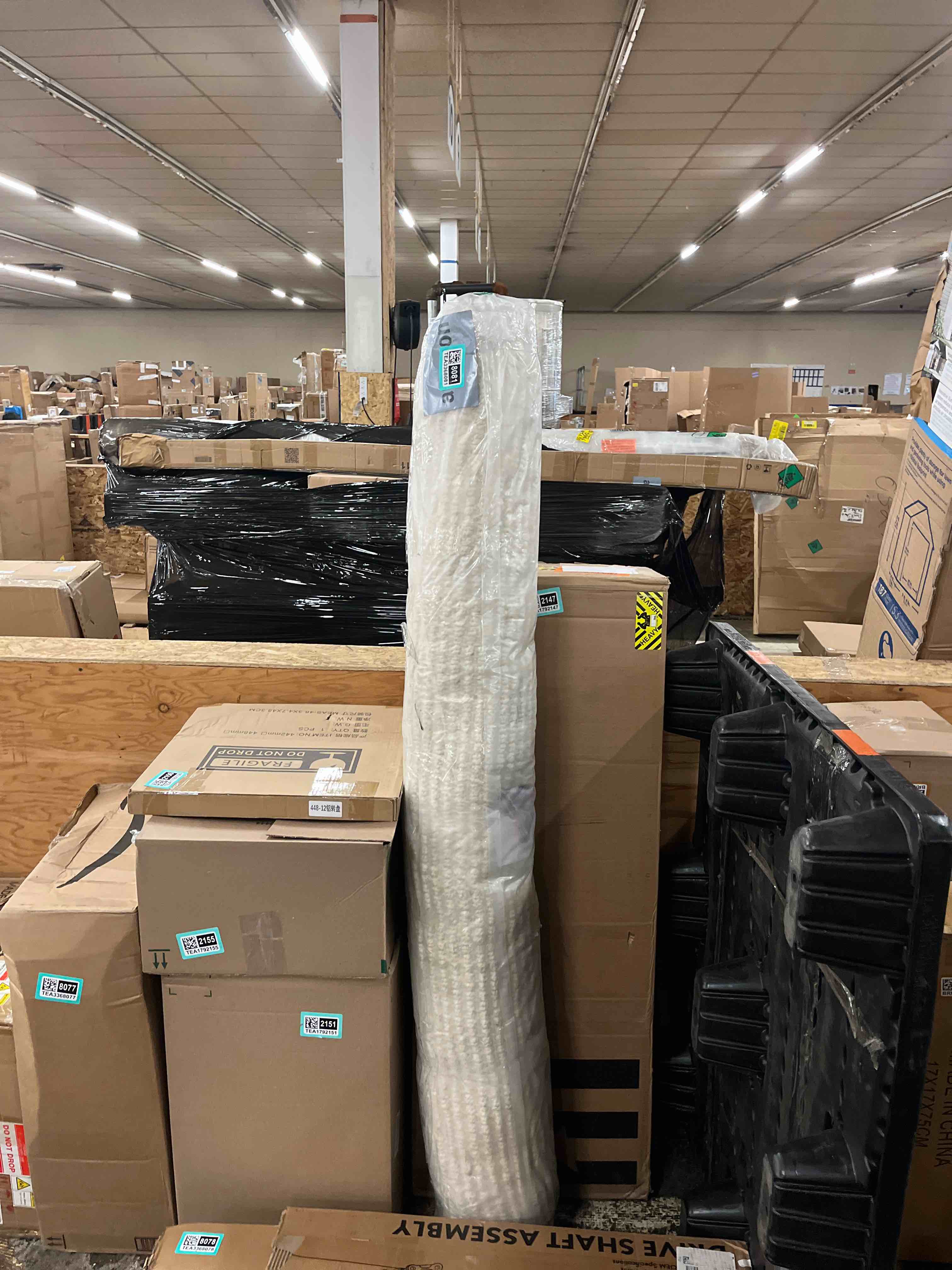 https://s3.amazonaws.com/lotting-images-prod/phillipi/TEA3368081_1760493646817.jpeg