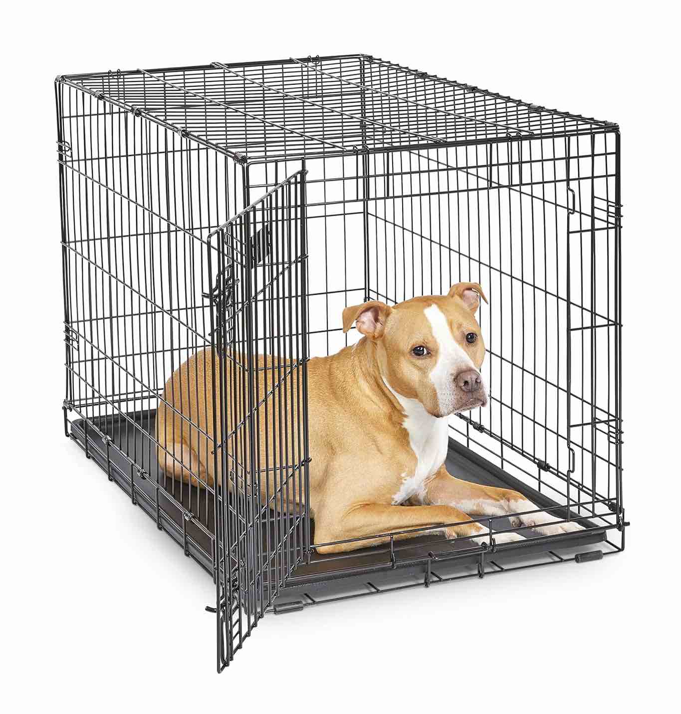 MidWest Homes For Pets Single Door iCrate Metal Dog Crate  30 inches