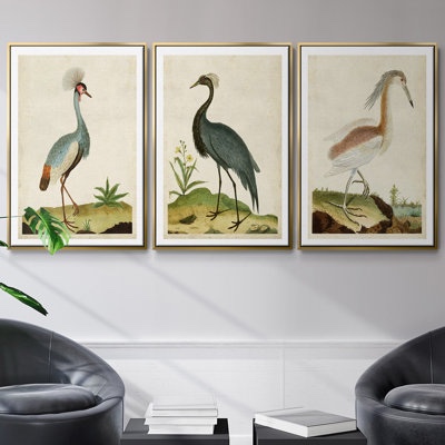 Heron Portrait I " 3 - Pieces (Set of 3) By Wexford Home Format: Gold Framed | Overall Size: 27" H x 54" W
