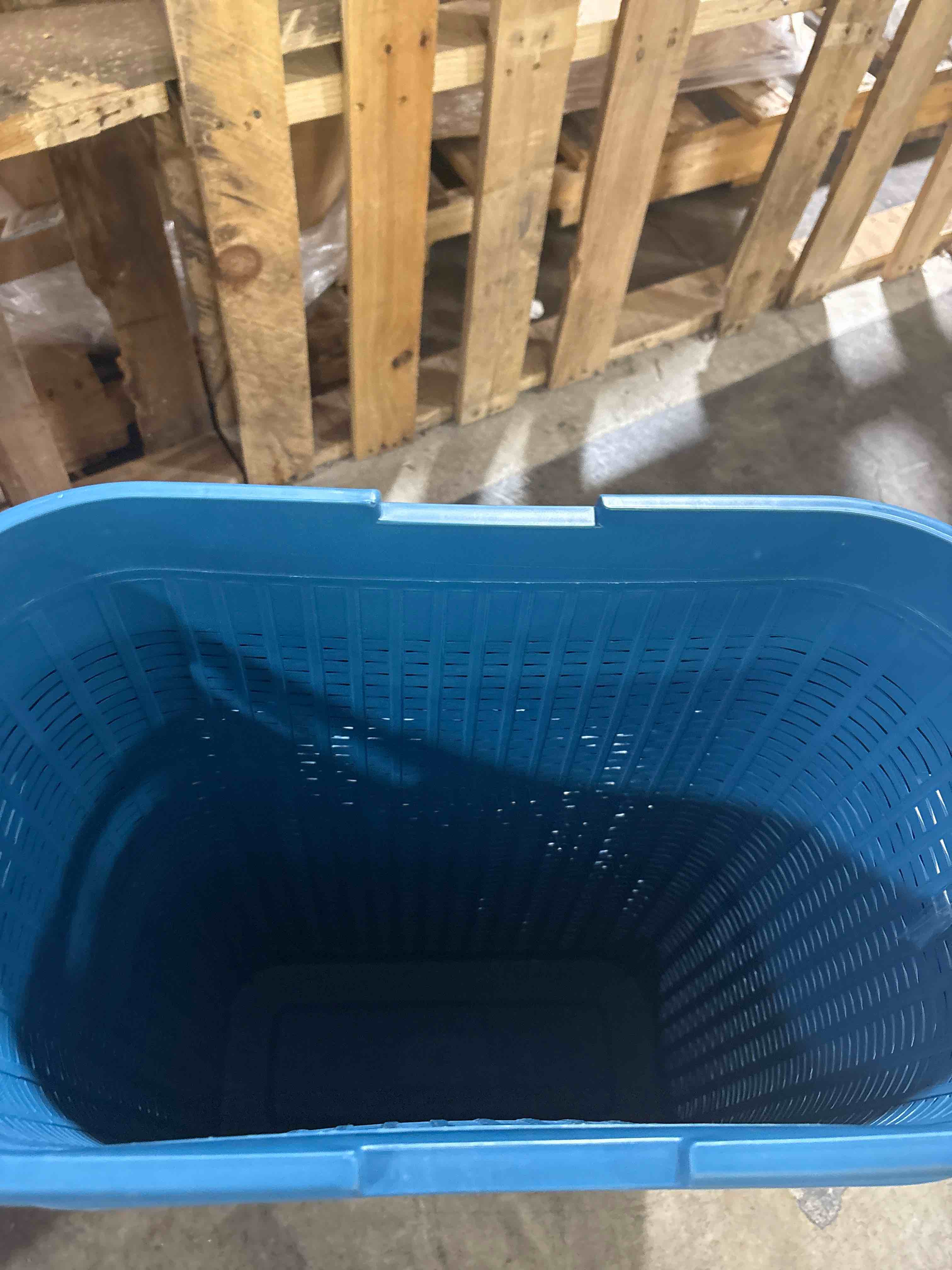 https://s3.amazonaws.com/lotting-images-prod/phillipi/TEA3370393_1752672490373.jpeg