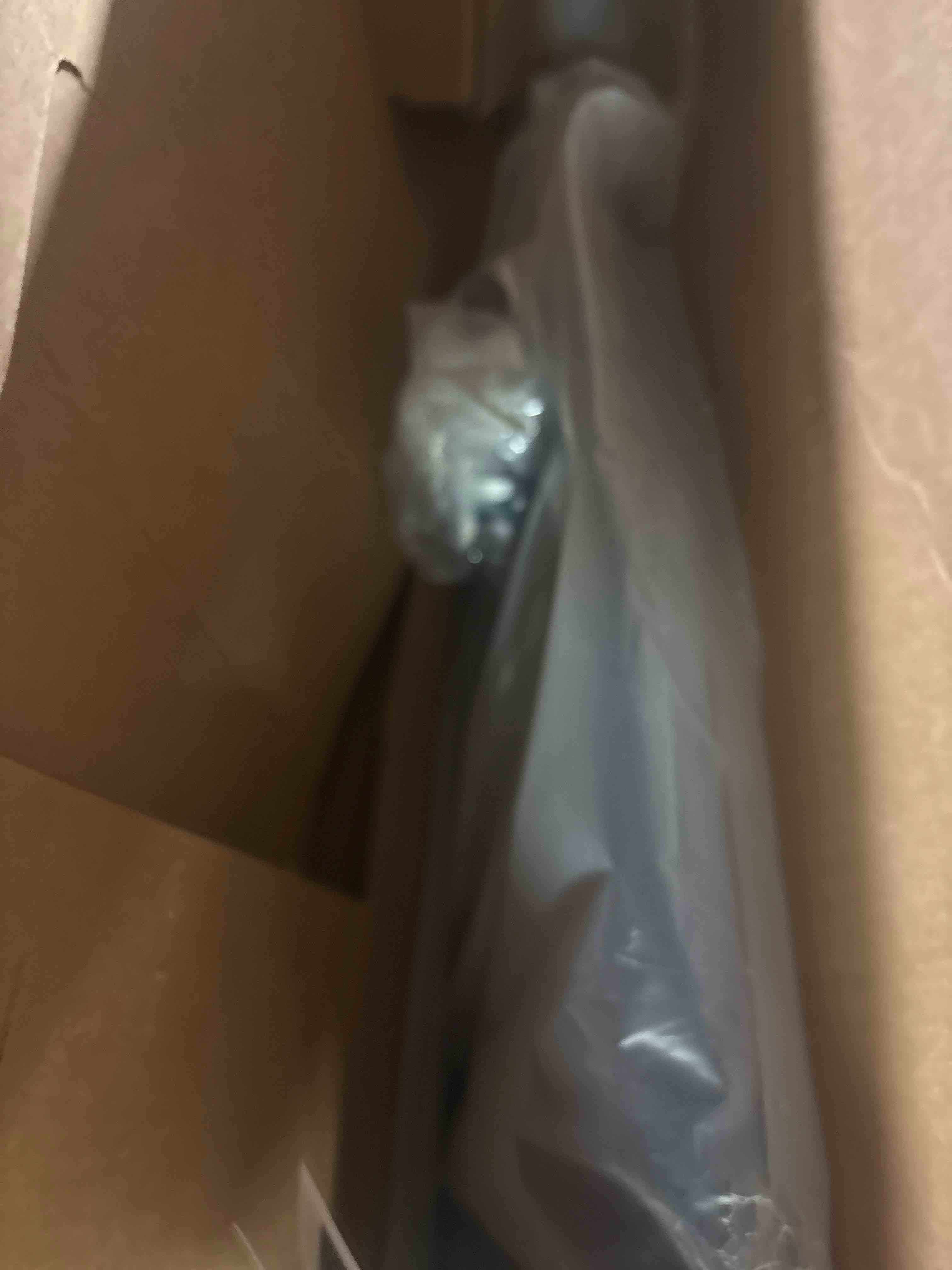 https://s3.amazonaws.com/lotting-images-prod/phillipi/TEA3370400_1752671133882.jpeg