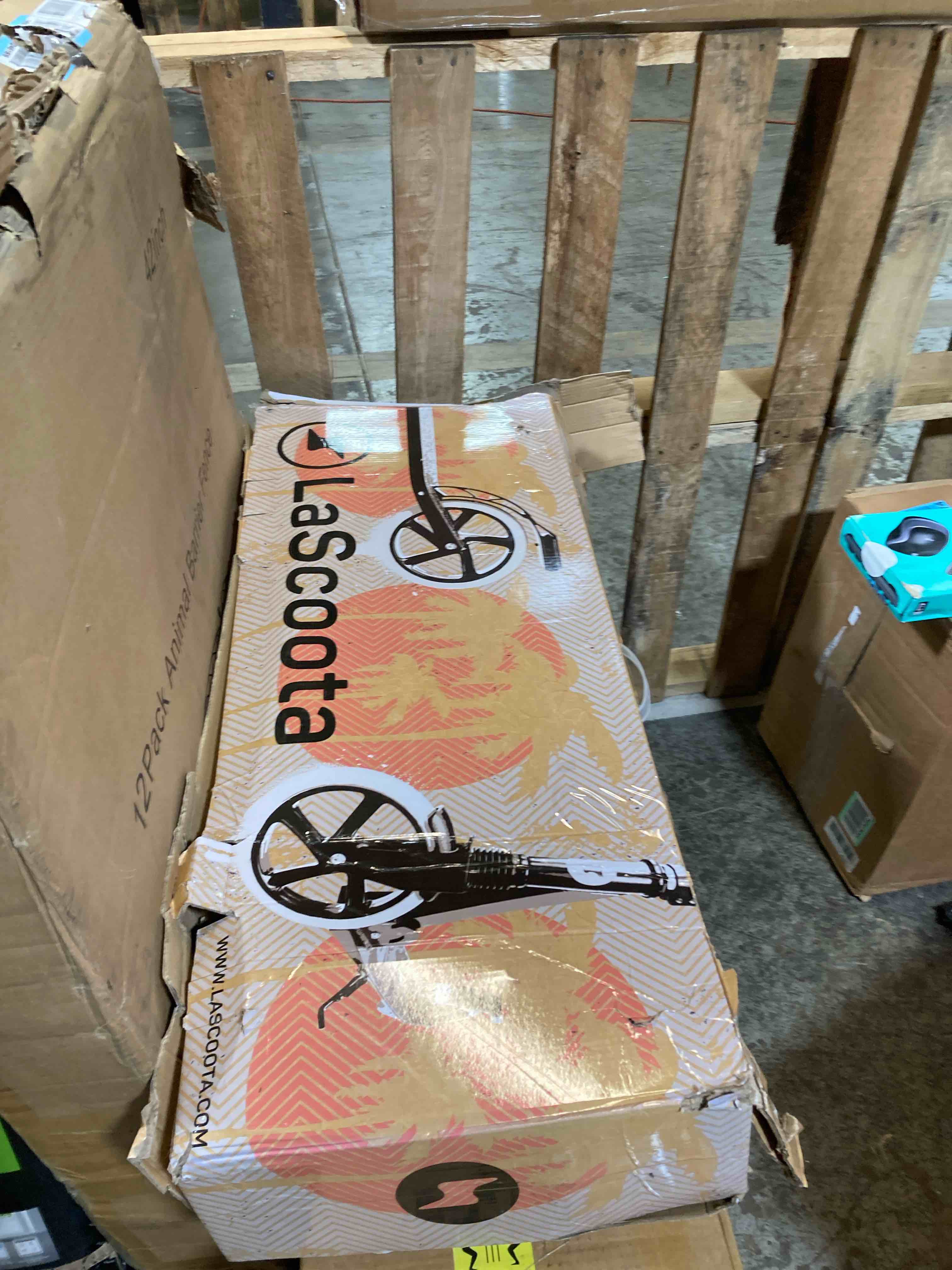 https://s3.amazonaws.com/lotting-images-prod/phillipi/TEA3370792_1753815622162.jpeg