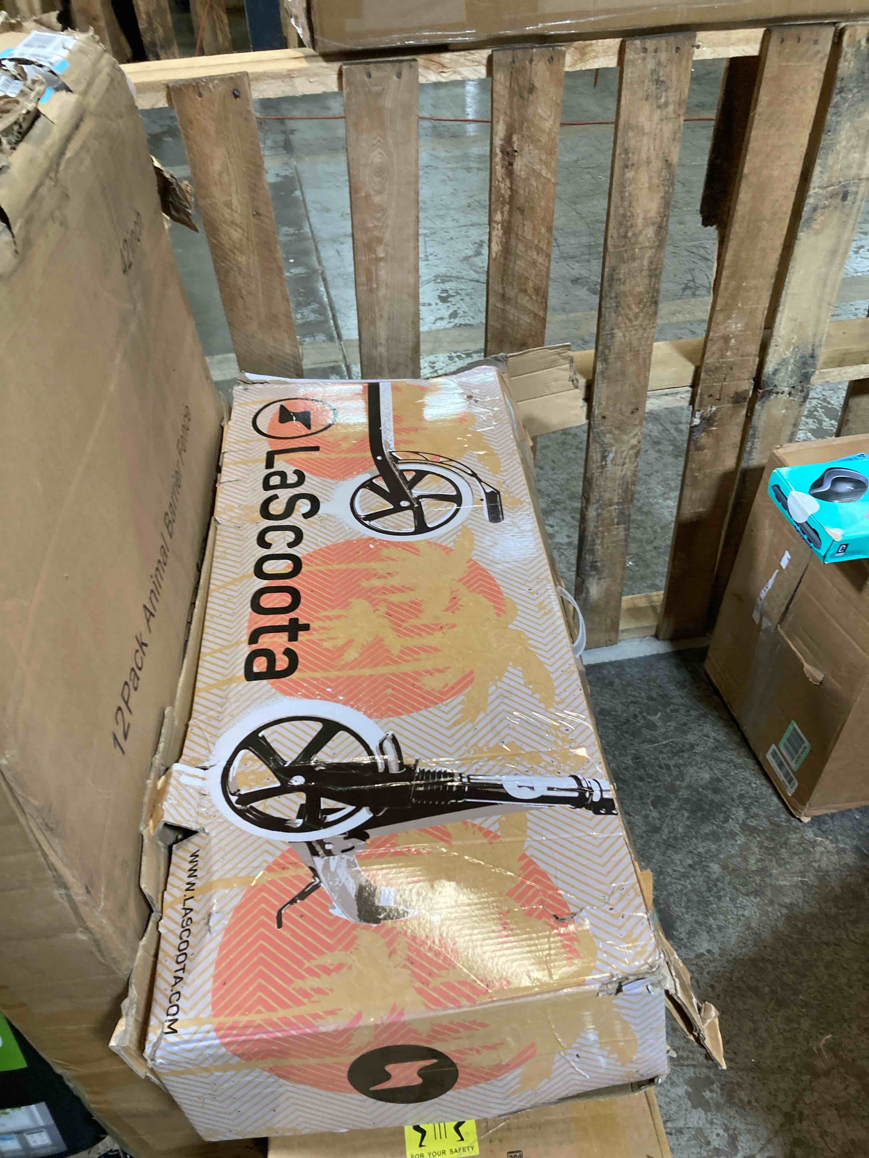 https://s3.amazonaws.com/lotting-images-prod/phillipi/TEA3370792_1753815623294.jpeg