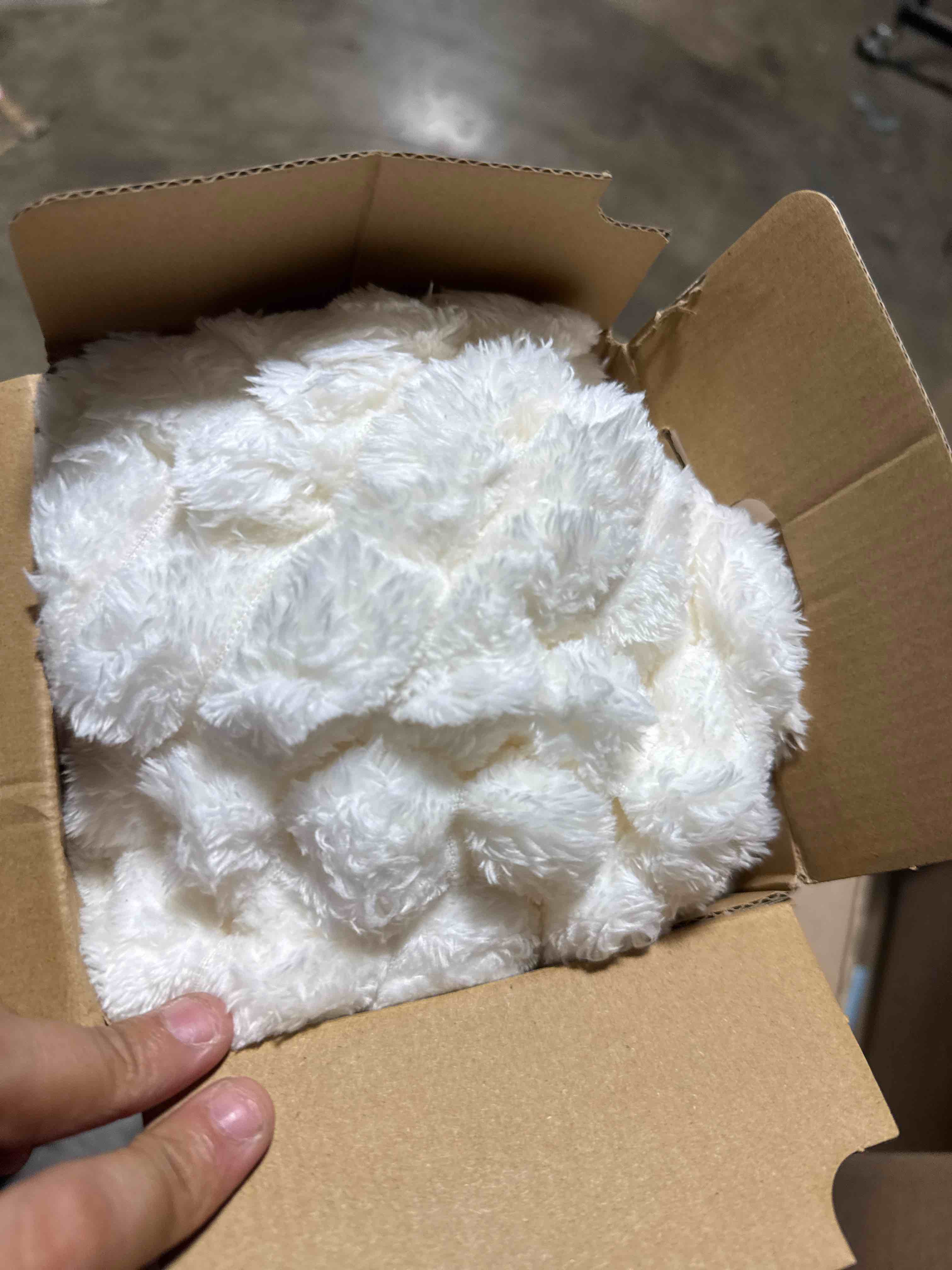 https://s3.amazonaws.com/lotting-images-prod/phillipi/TEA3370969_1754068912073.jpeg