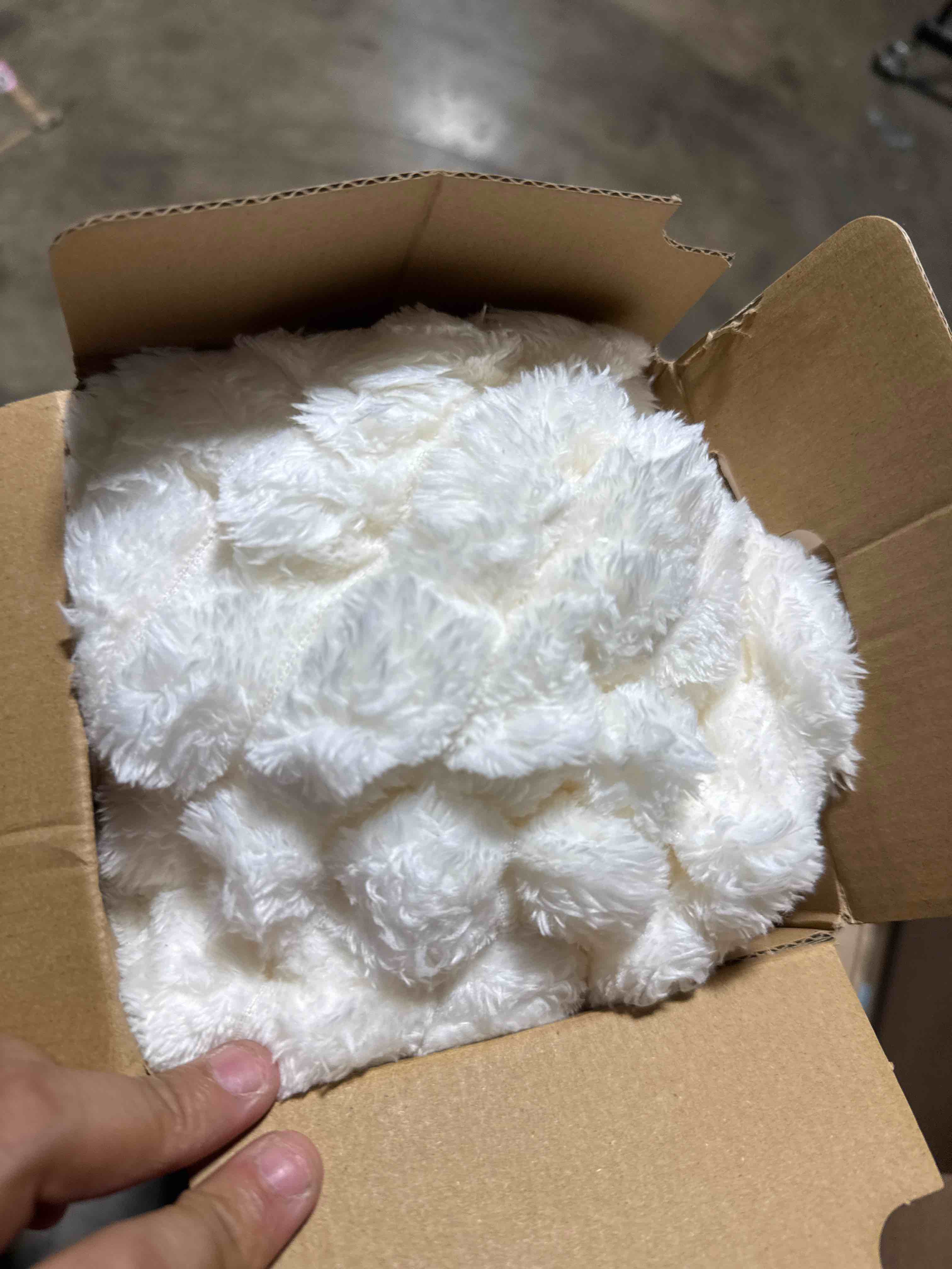 https://s3.amazonaws.com/lotting-images-prod/phillipi/TEA3370969_1754068913053.jpeg