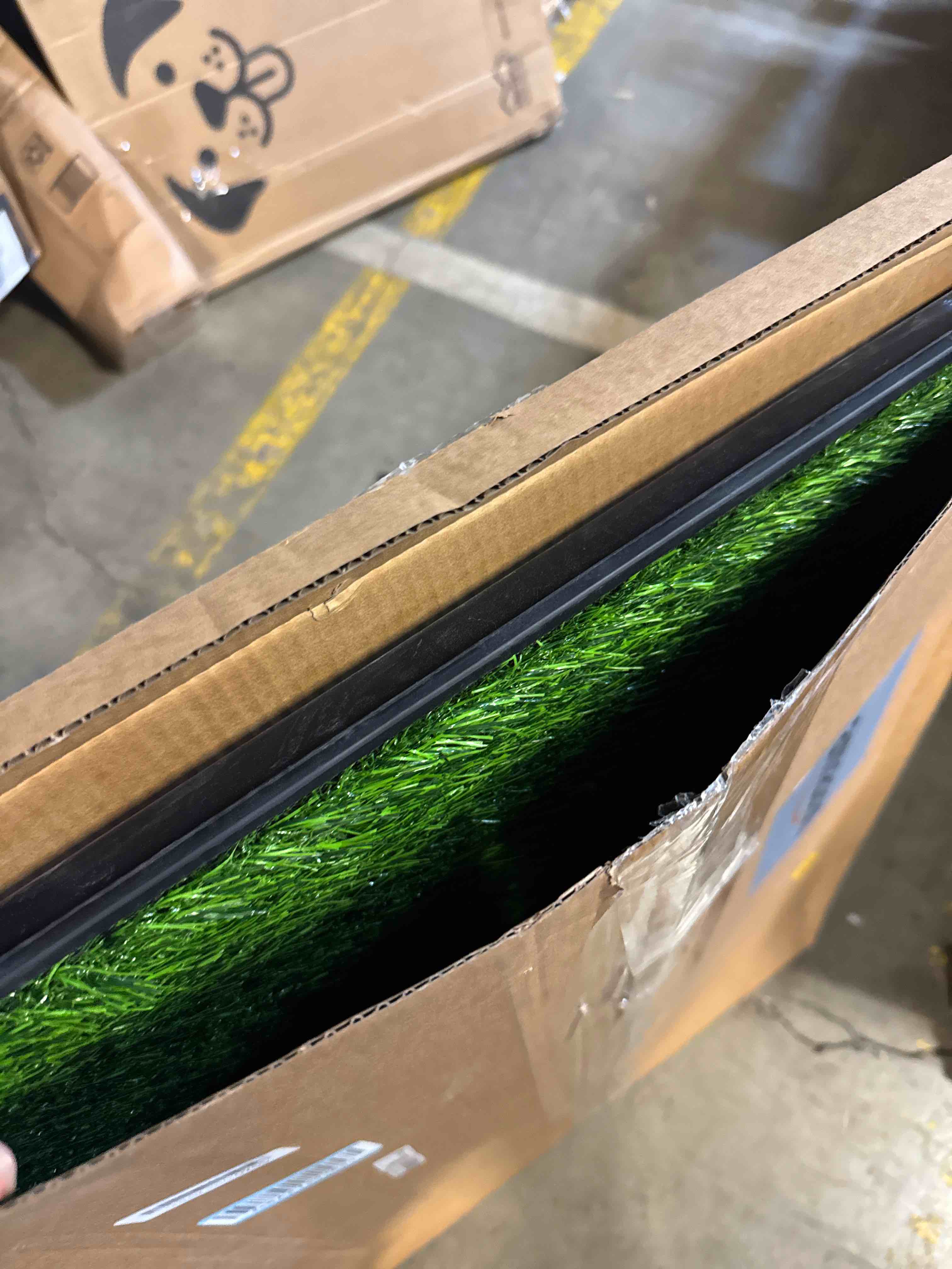 https://s3.amazonaws.com/lotting-images-prod/phillipi/TEA3372080_1759257639469.jpeg