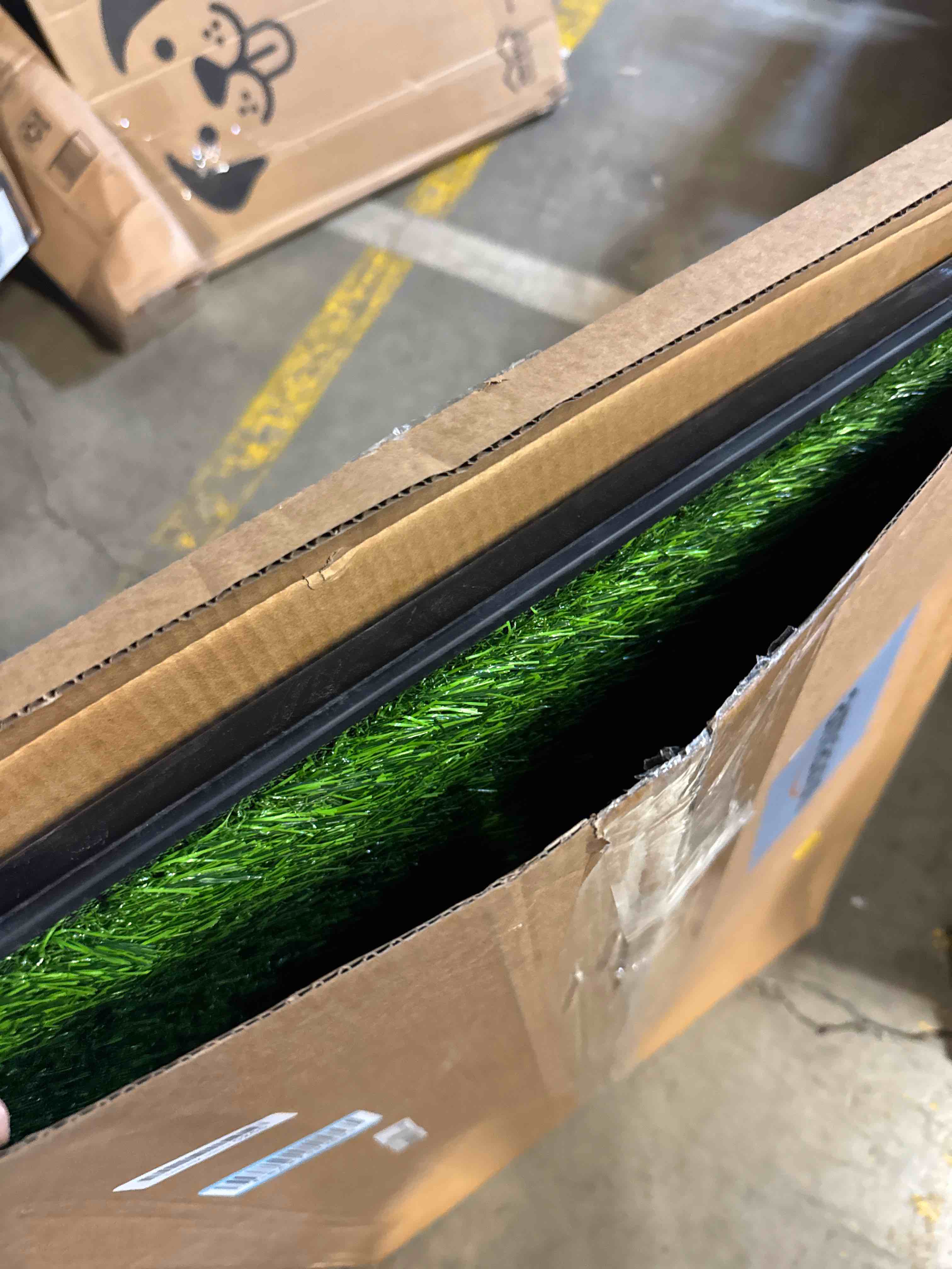 https://s3.amazonaws.com/lotting-images-prod/phillipi/TEA3372080_1759257640288.jpeg