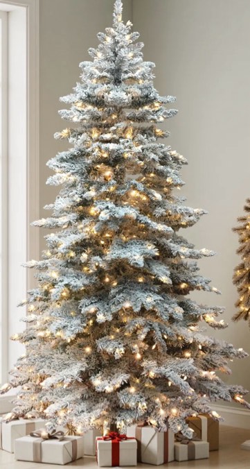 Auctioning dreams, one bid at a time (Row 10)