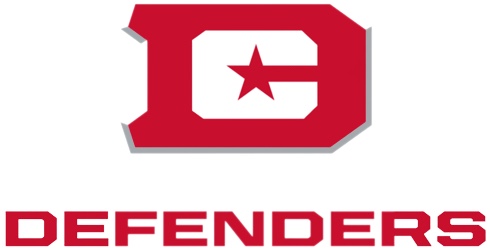 Condition photo showing New/Like New for Logo Brands Set of 6 DC Defenders Elite lawn chairs  (each chair and chair bag has defenders logo on it)