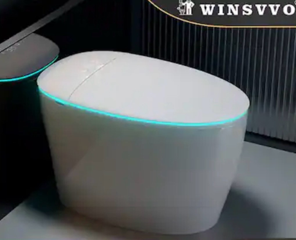 Dyonery - smart toilet with foam cover, large and small flushers, women's wash, warm air drying, and automatic lid opening - White