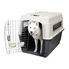 SportPet Designs Plastic Kennels Rolling Plastic Wire Door Travel Dog Crate, XXL