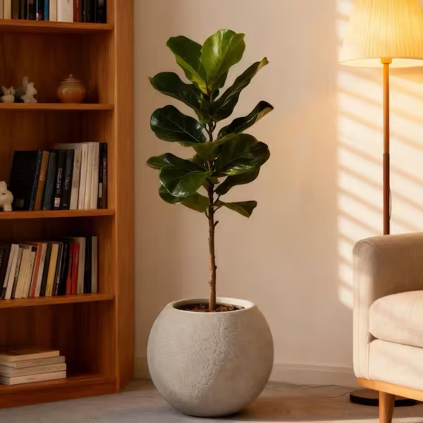 Condition photo showing New/Like New for concrete large outdoor indoor planter (17.1 in. w x 15.35 in. h) round magnesium oxide flower pots with drainage holes