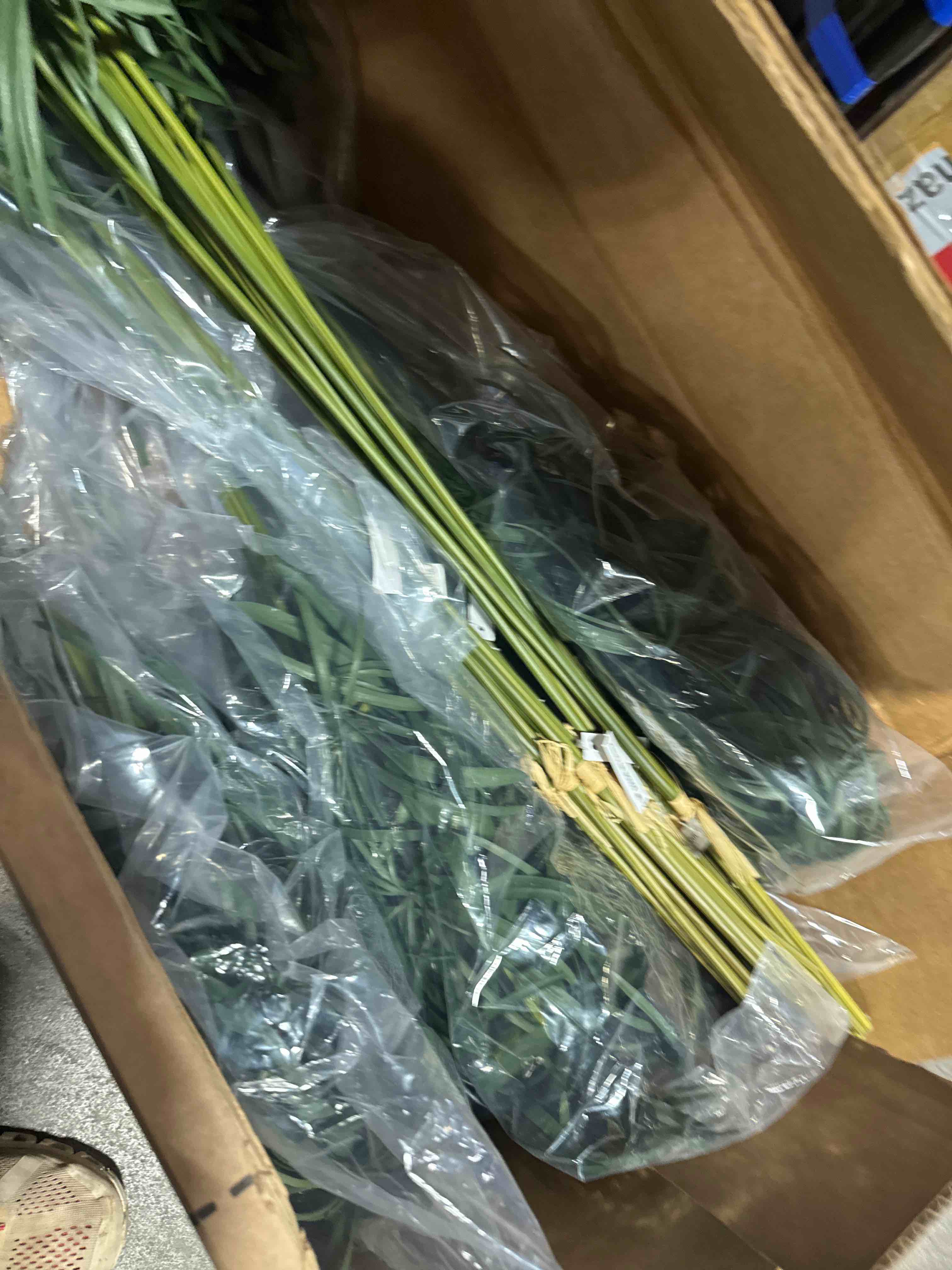 Condition photo showing New/Like New for a8161 54 pcs artificial green plant branch home room decor props ( similar to one in stock)