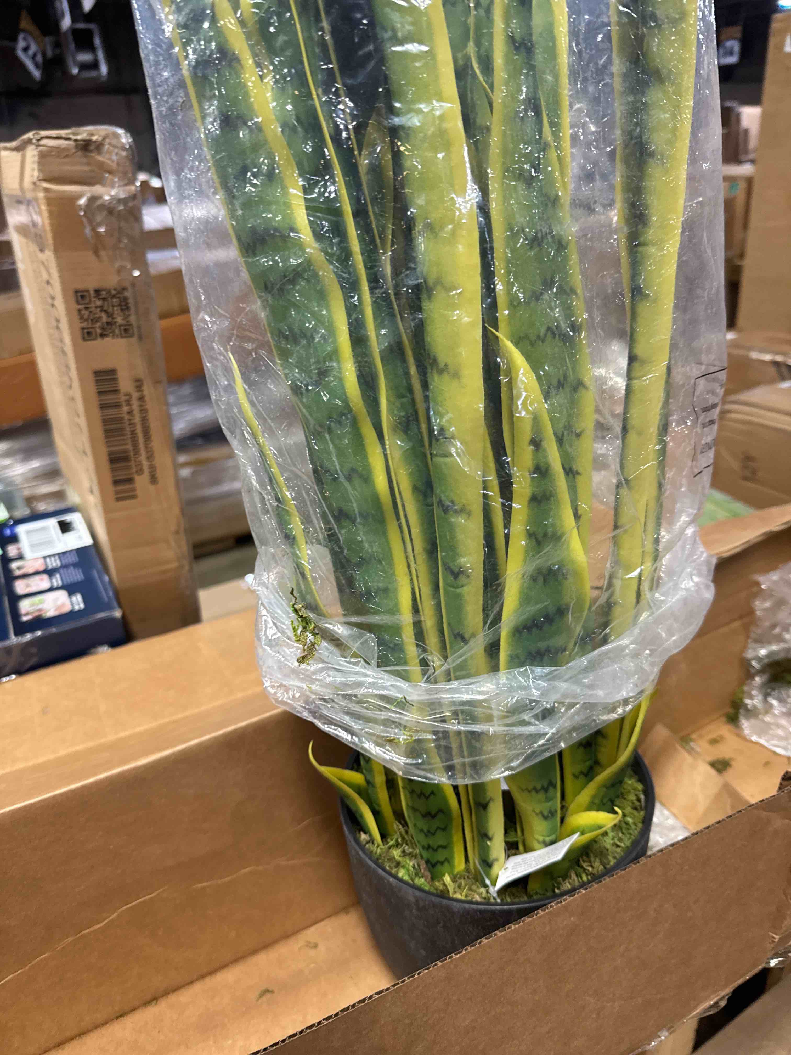 https://s3.amazonaws.com/lotting-images-prod/phillipi/TEA4212071_1777917711205.jpeg