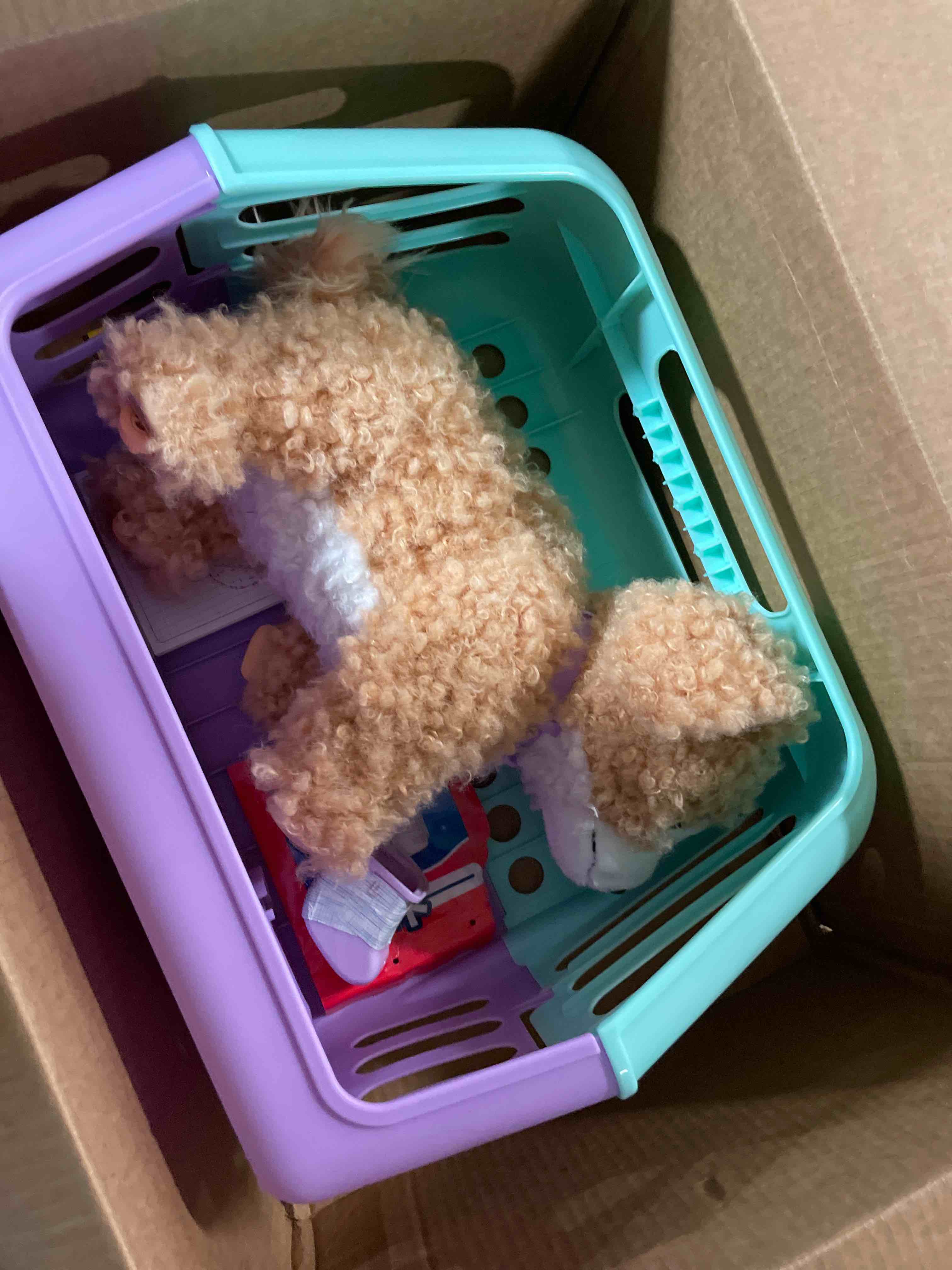 Condition photo showing Good Condition for Little Live Pets Ouchies Amazon Exclusive Hazel The Poodle Plush, 50+ Sounds, Limping to Walking Puppy Toy & Carrier, Interactive Toy Dog for Kids 5+