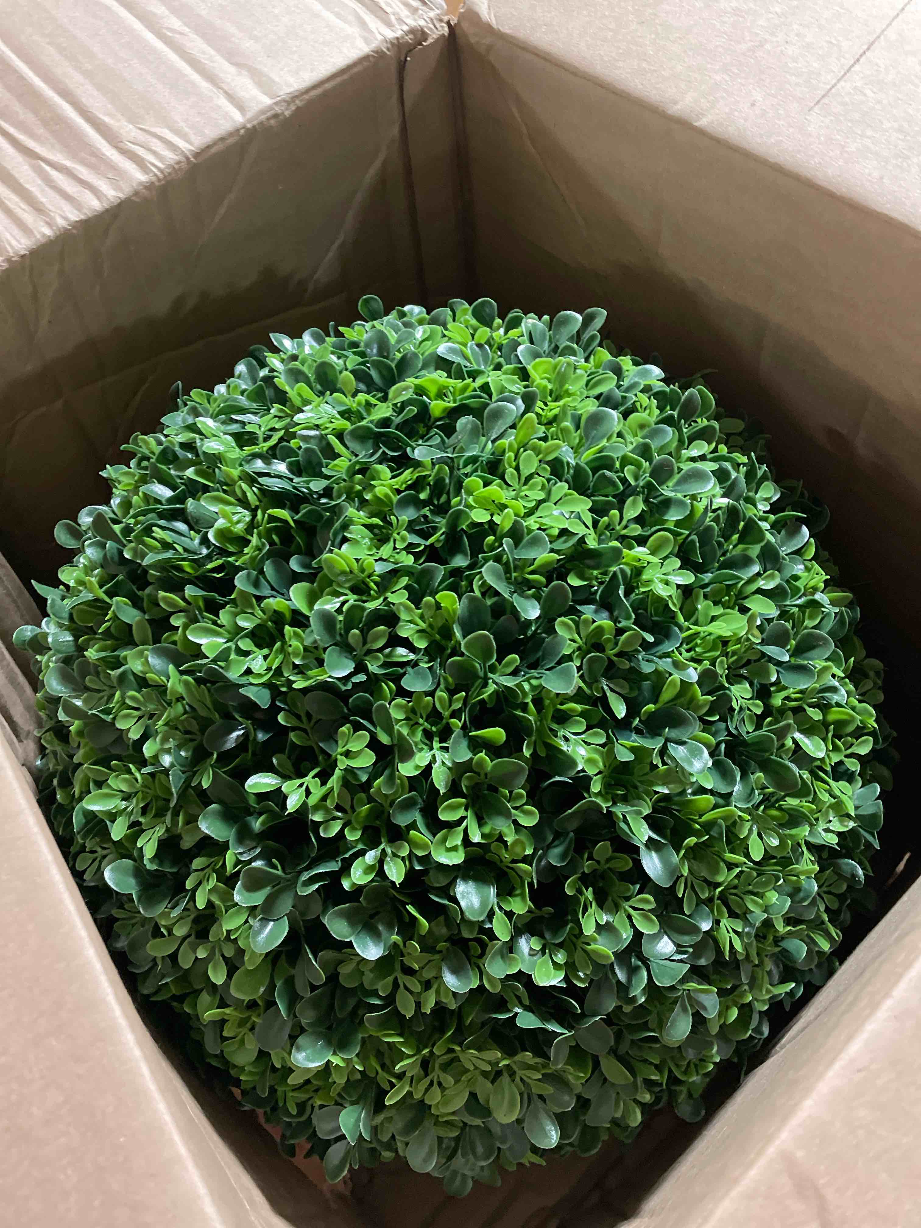 https://s3.amazonaws.com/lotting-images-prod/phillipi/TEA4979499_1780496092643.jpeg