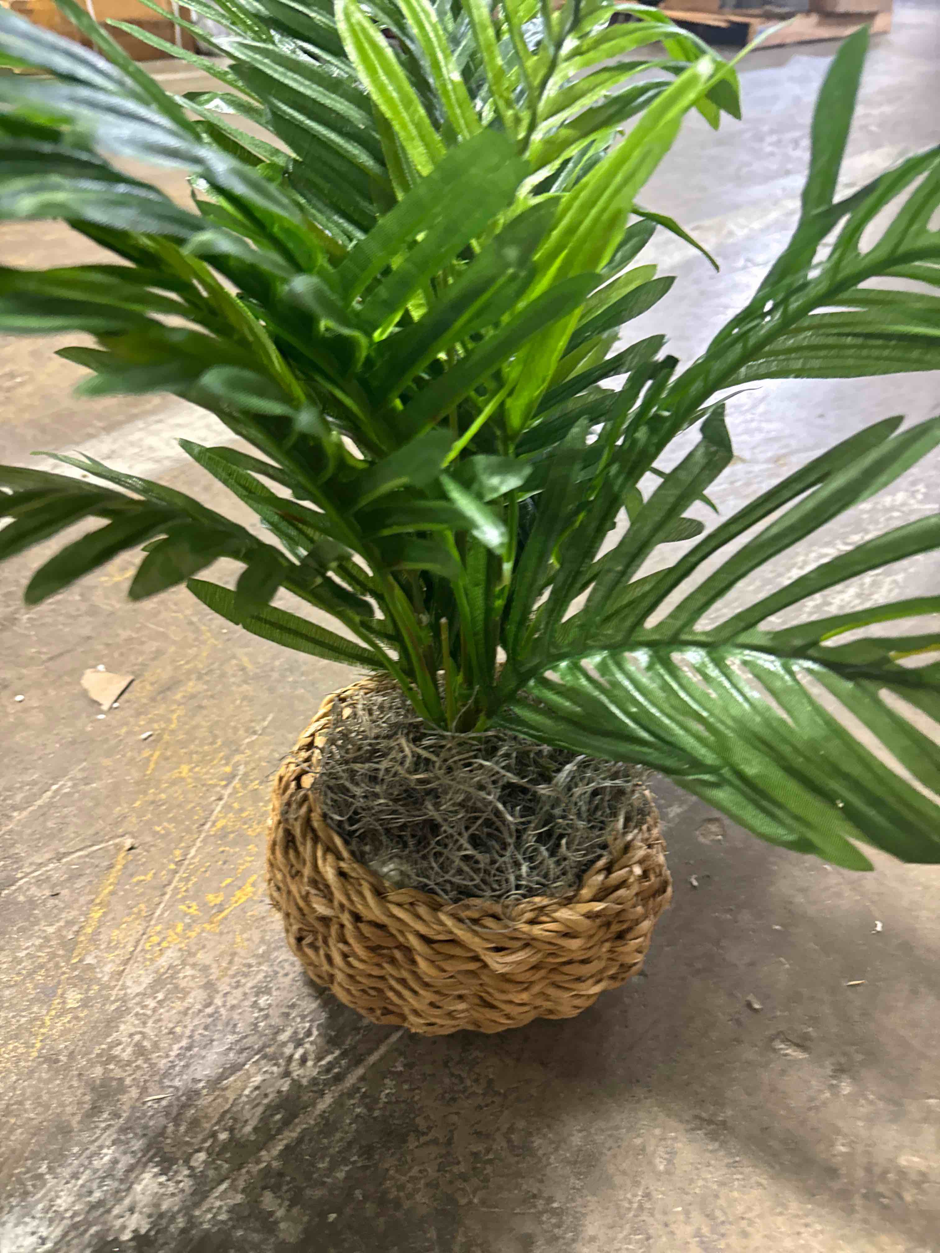 Condition photo showing As Is for 14" artificial palm plant in woven basket - faux potted fake indoor plant for home decor, office desk, living room tabletop - realistic looking silk greenery for modern decoration