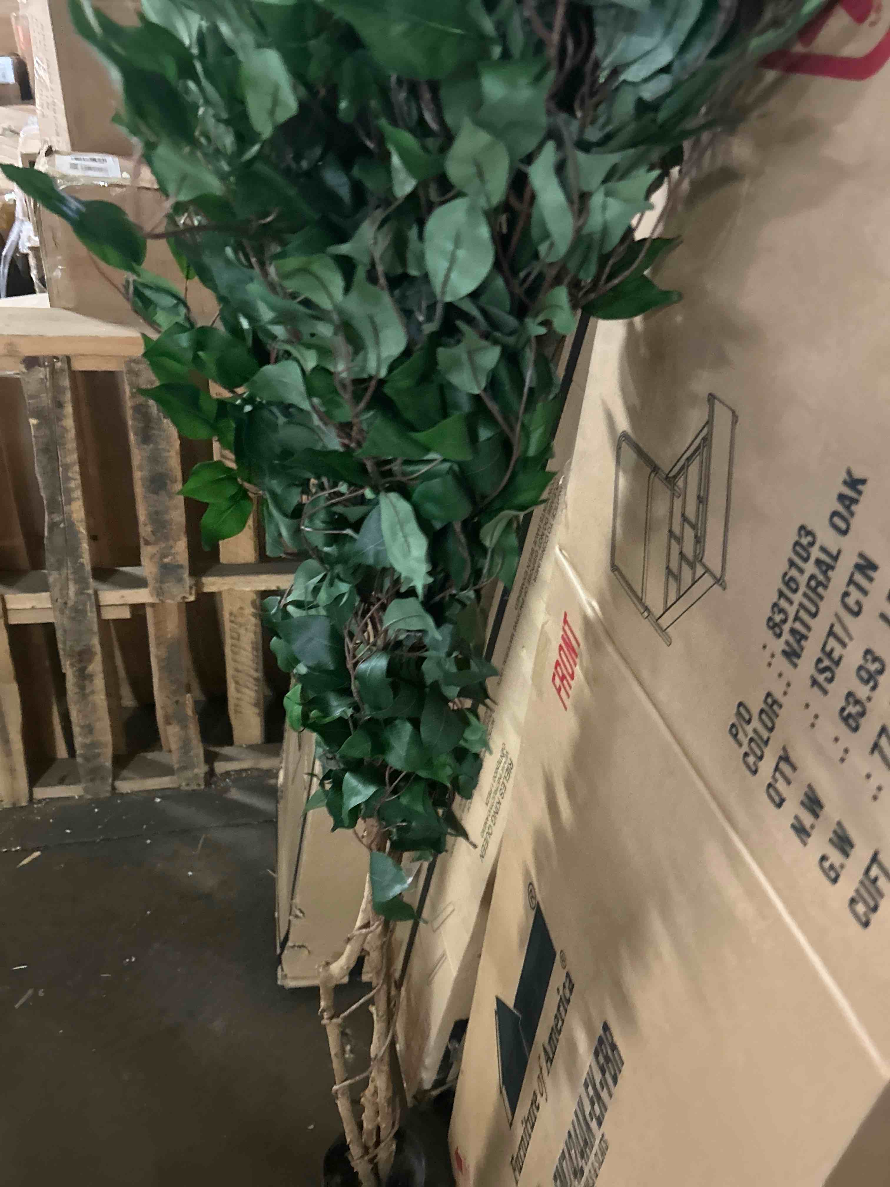 Condition photo showing New/Like New for nearly natural 74in triple trunk artificial ficus tree with natural wood trunks, fake tree for indoor home décor, faux ficus tree with black nursery pot