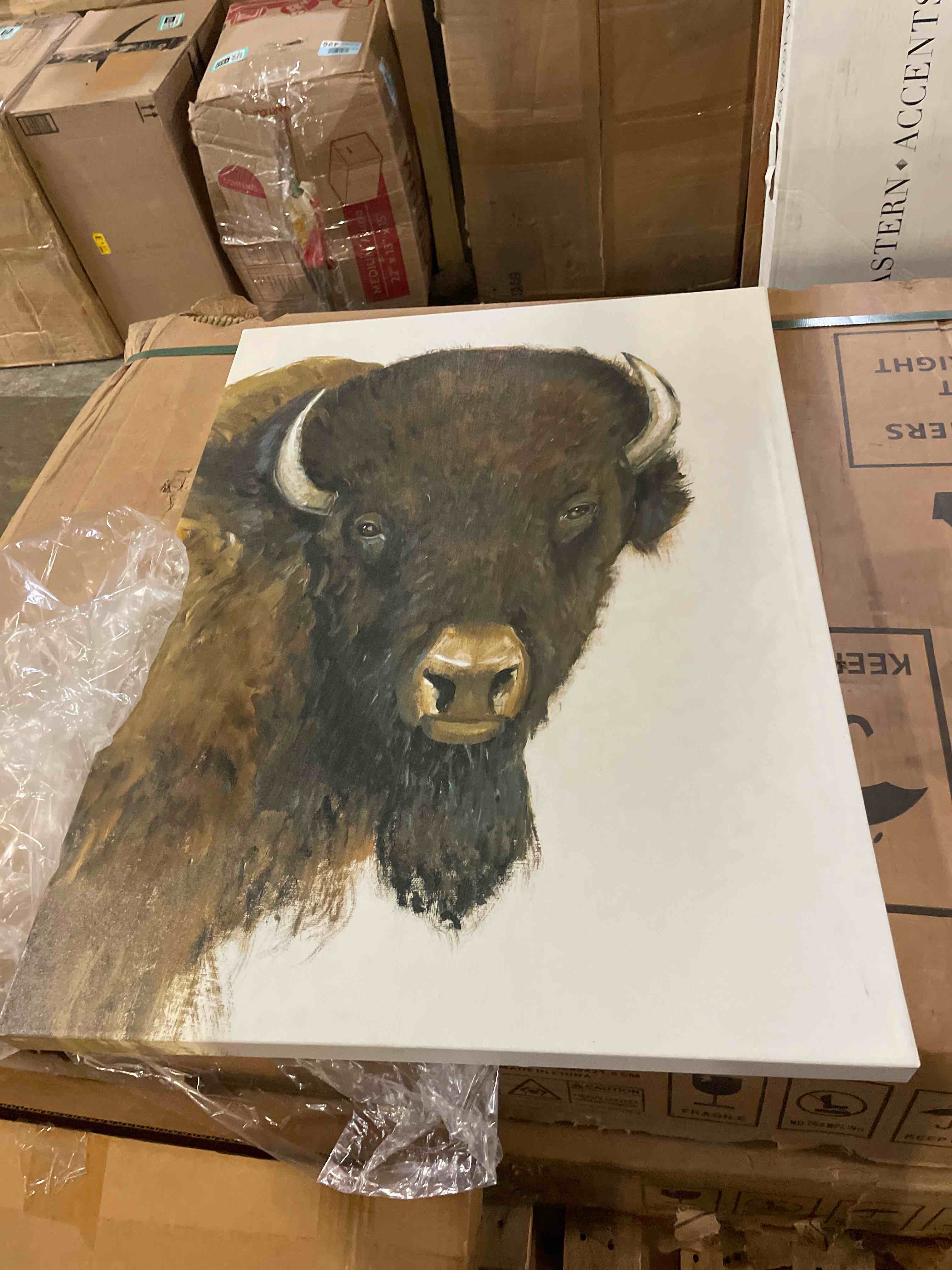 Condition photo showing New/Like New for western portrait ii"