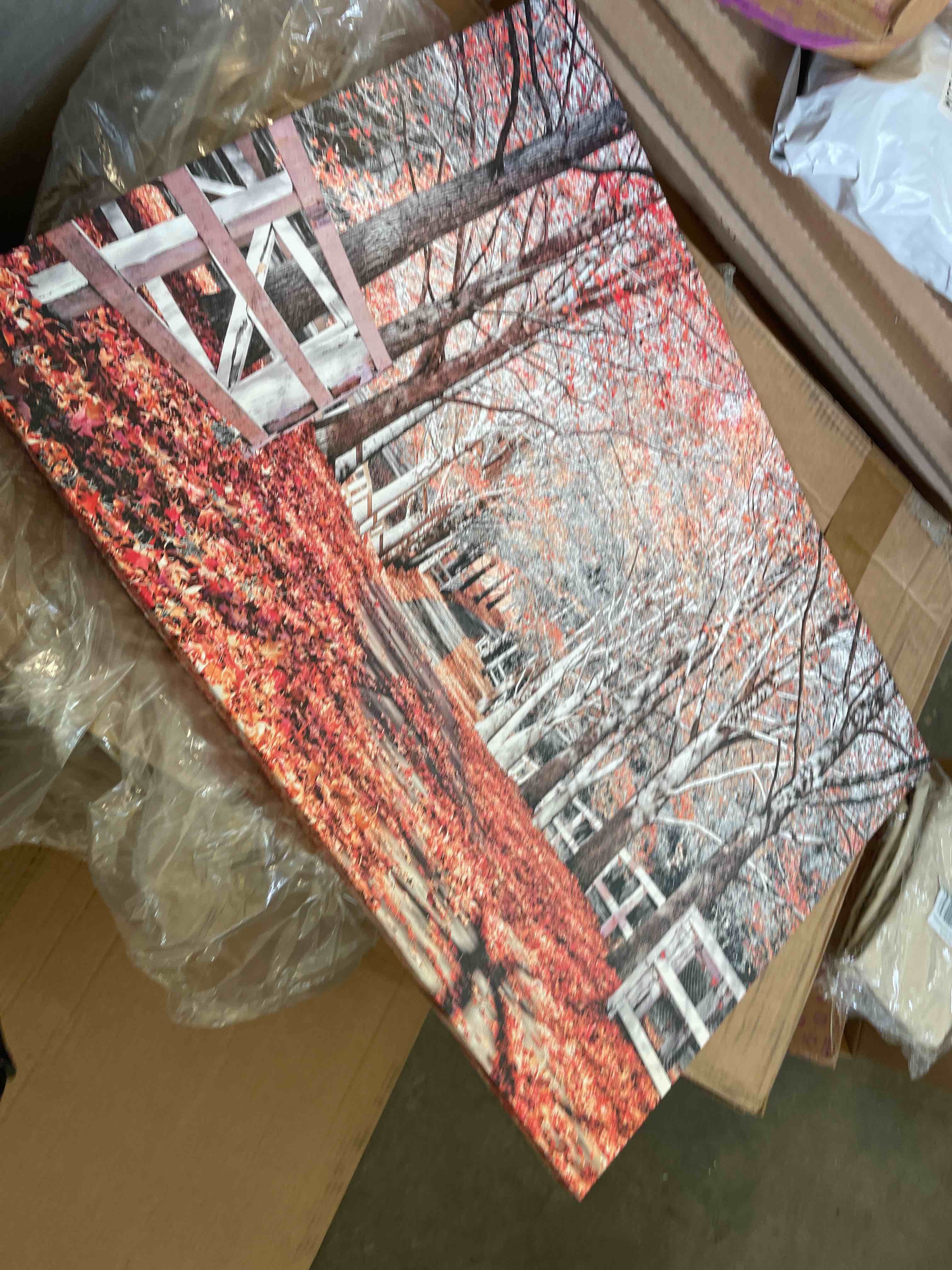 Condition photo showing New/Like New for autumn reds i on canvas by beata cz