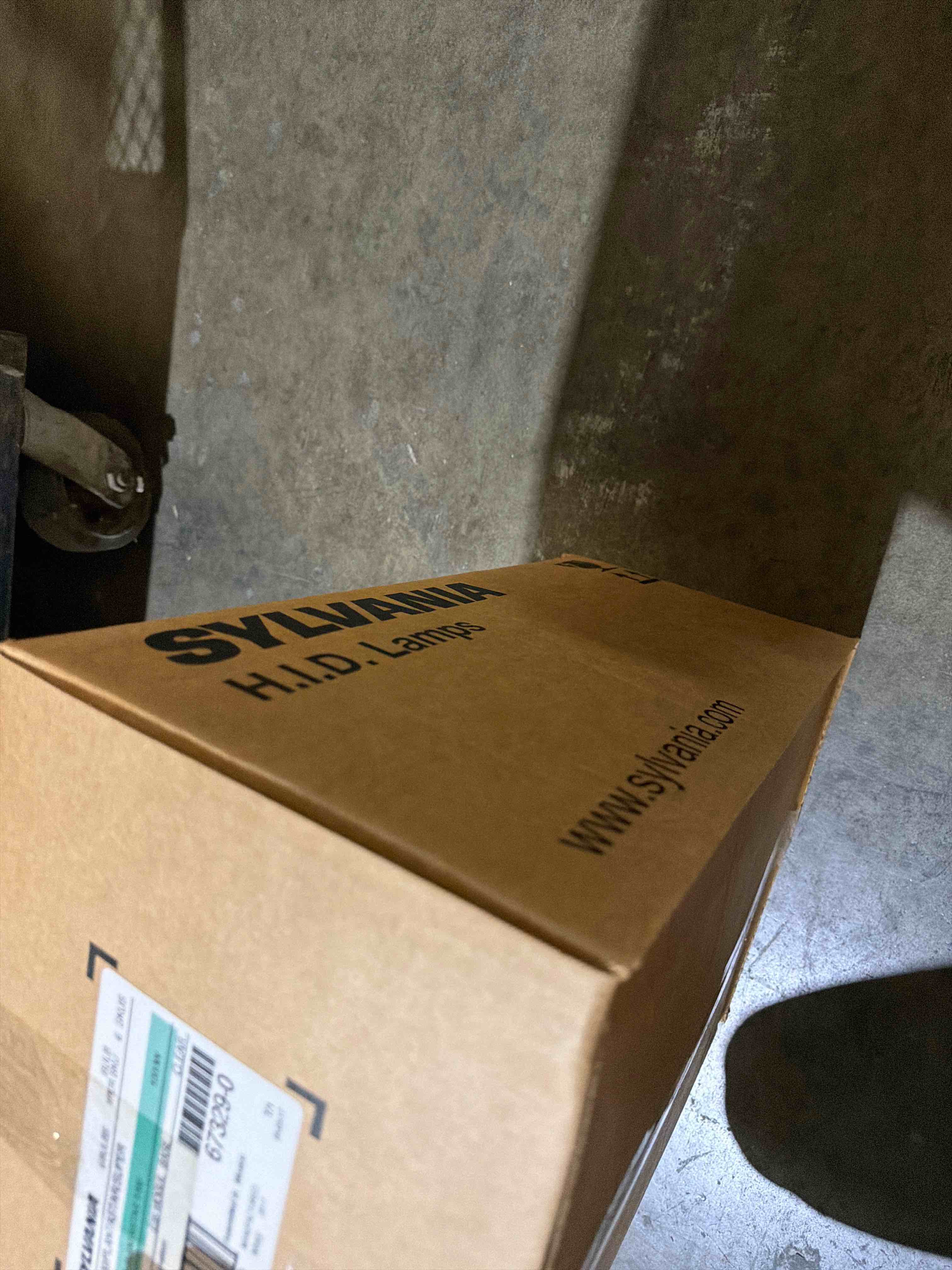 https://s3.amazonaws.com/lotting-images-prod/phillipi/TEA7214457_1789399367290.jpeg