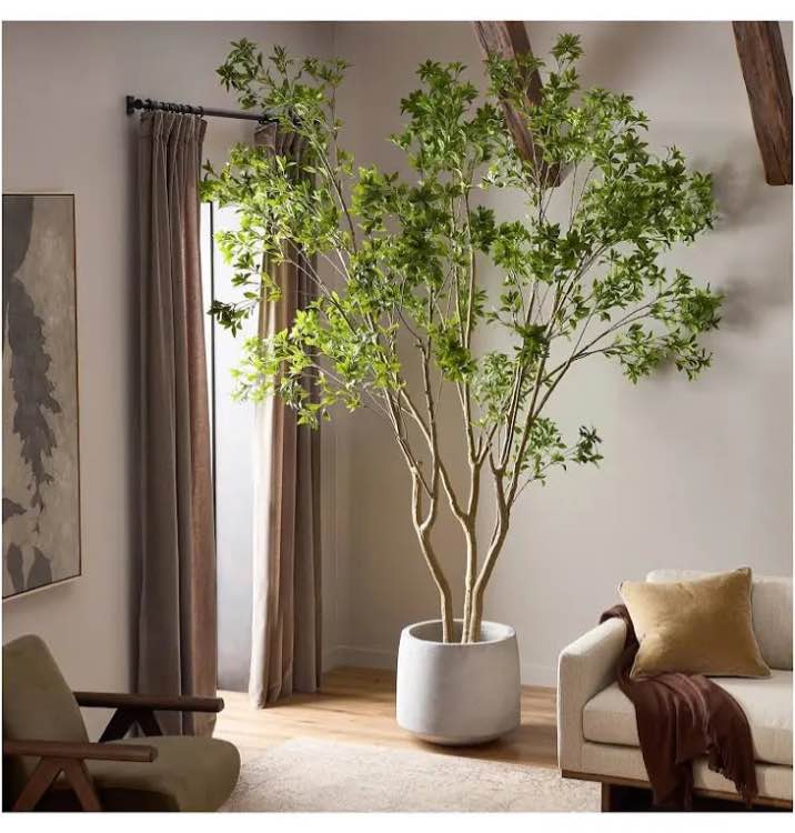 Watch The Savings Grow!!! (Row 16)