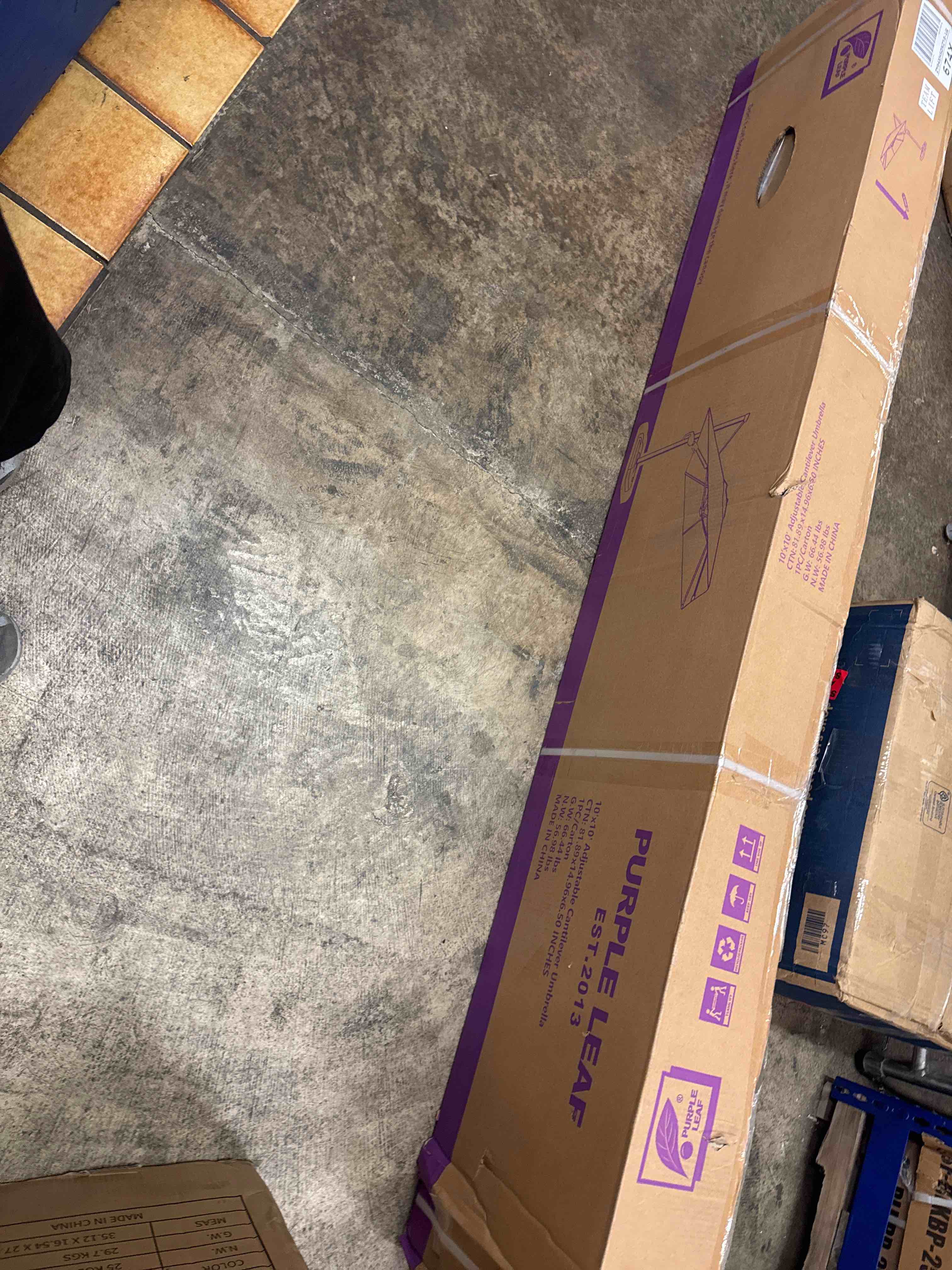 Condition photo showing New/Like New for purple leaf 10’ x 10‘ patio umbrella outdoor cantilever umbrella, aluminum offset umbrella with champagne frame and 360° rotation for pool deck garden, light grey