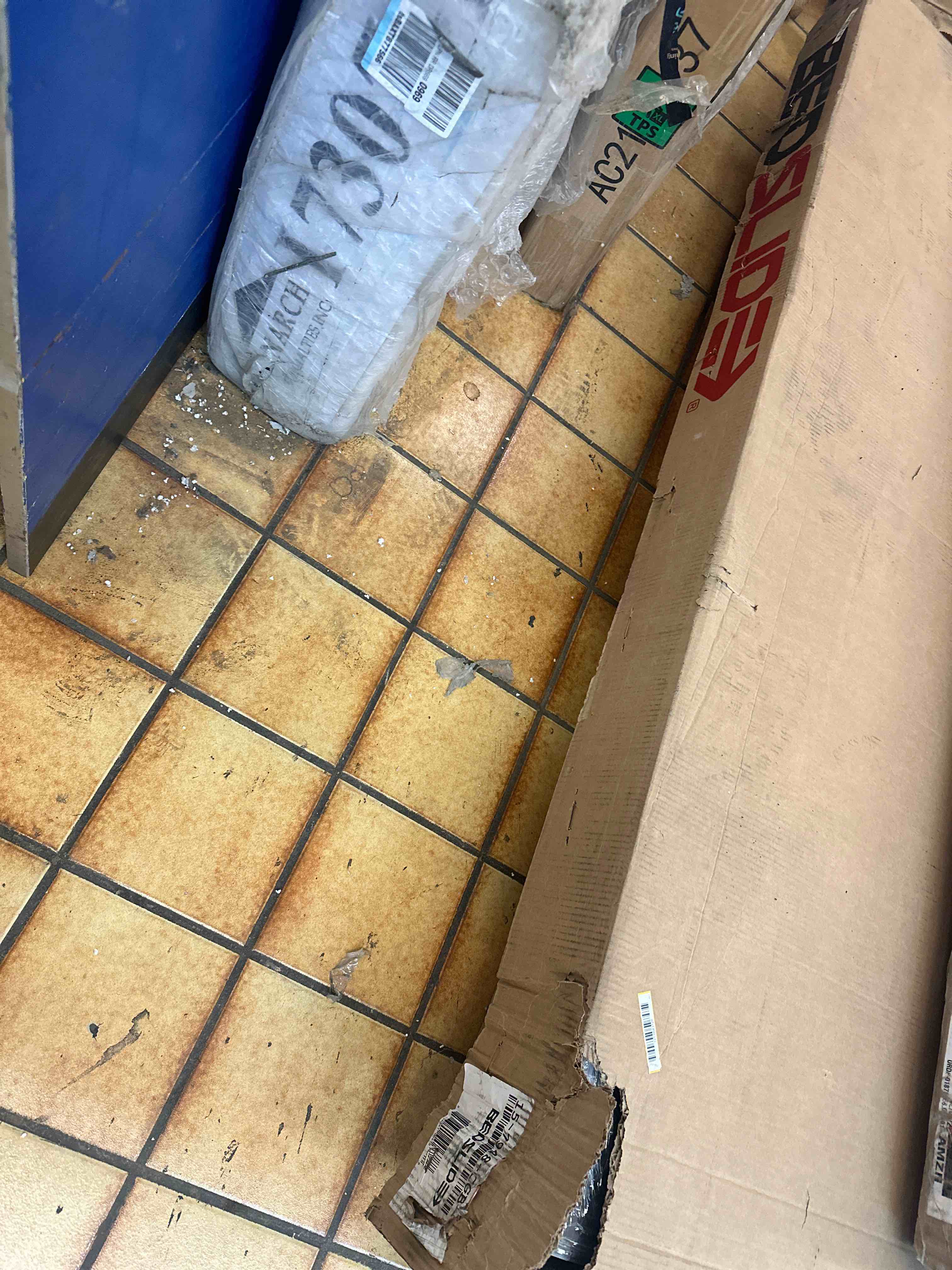https://s3.amazonaws.com/lotting-images-prod/phillipi/YEL3752331_1677876416066.jpeg