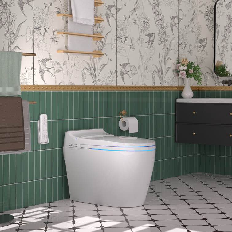 BCAN Smart Toilet with Tankless Bidet Wash, Auto Open Lid, 1.28 Gallons Auto Dual Flush, Heat Seat, Warm Wash/Dryer, Soft Closing, Remote Control (Part number: SMT2209C)