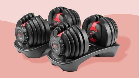 BowFlex Results Series 552 SelectTech Dumbbells (Pair)