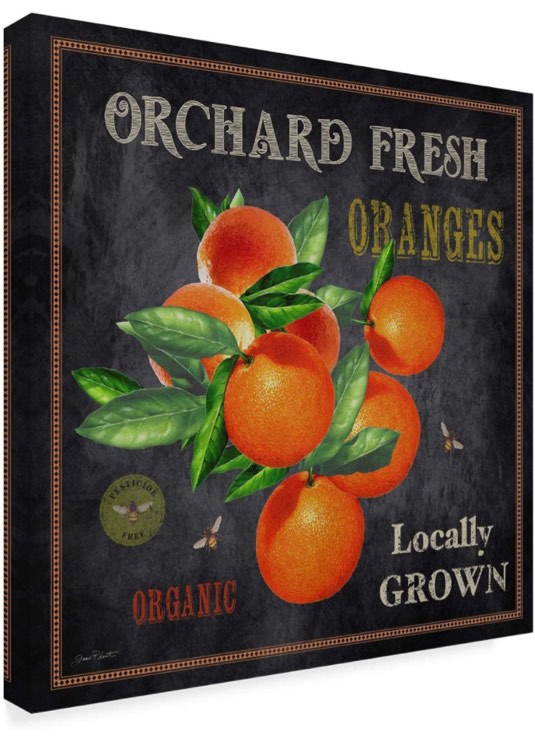 Trademark Fine Art ALI37362-C2424GG Orchard Fresh Oranges by Jean Plout Fine Art, 24x24-Inch, Multicolor