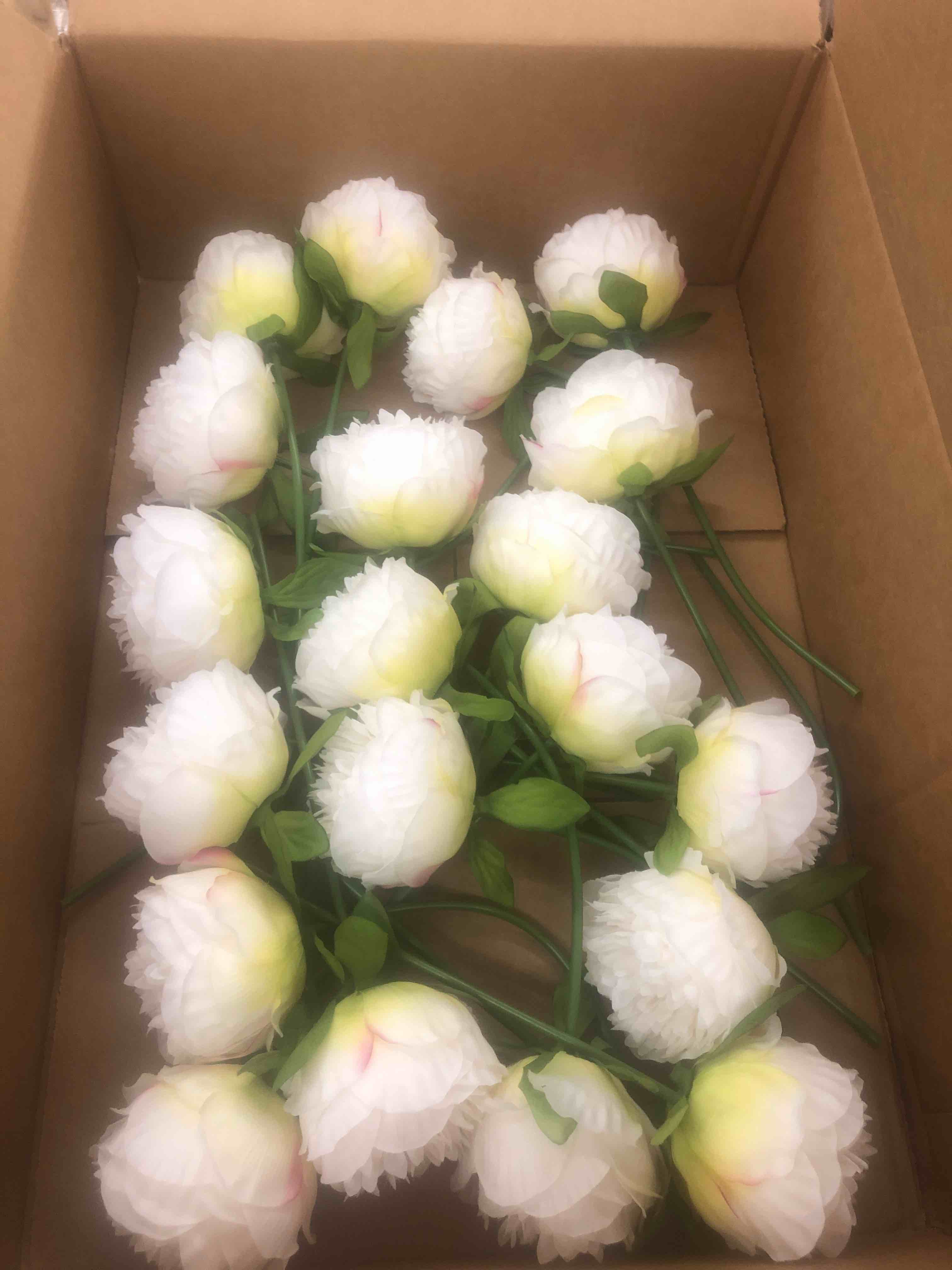 https://s3.amazonaws.com/lotting-images-prod/phillipi/YEL5071648_1707234512306.jpeg