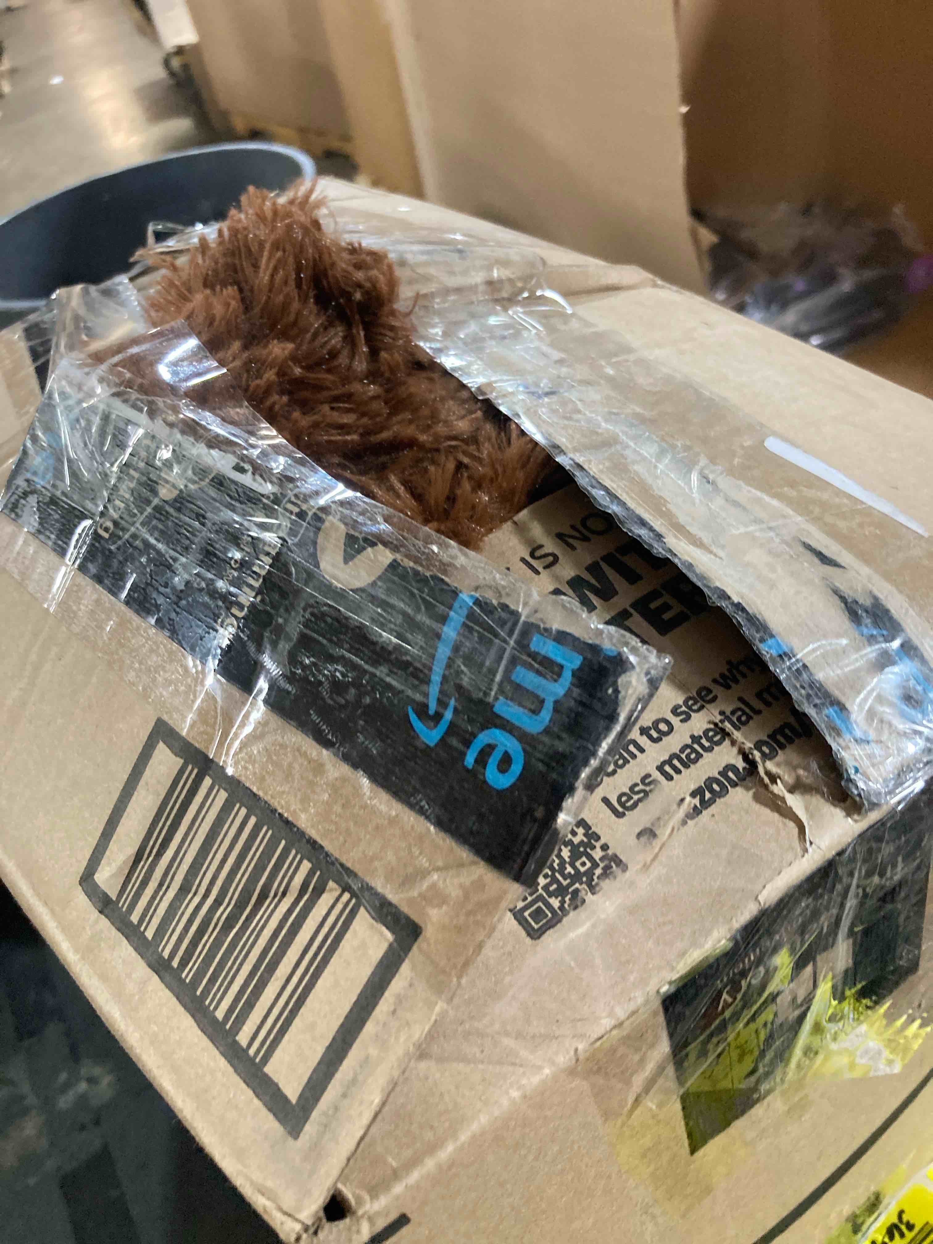 https://s3.amazonaws.com/lotting-images-prod/phillipi/YEL5146170_1709824349730.jpeg