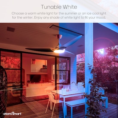 Smart WiFi 60 in. 3 Blade Integrated LED Outdoor Polycarbonate Smart Ceiling Fan with Remote and App Control by atomi smart Metallic Silver Fan Blades.