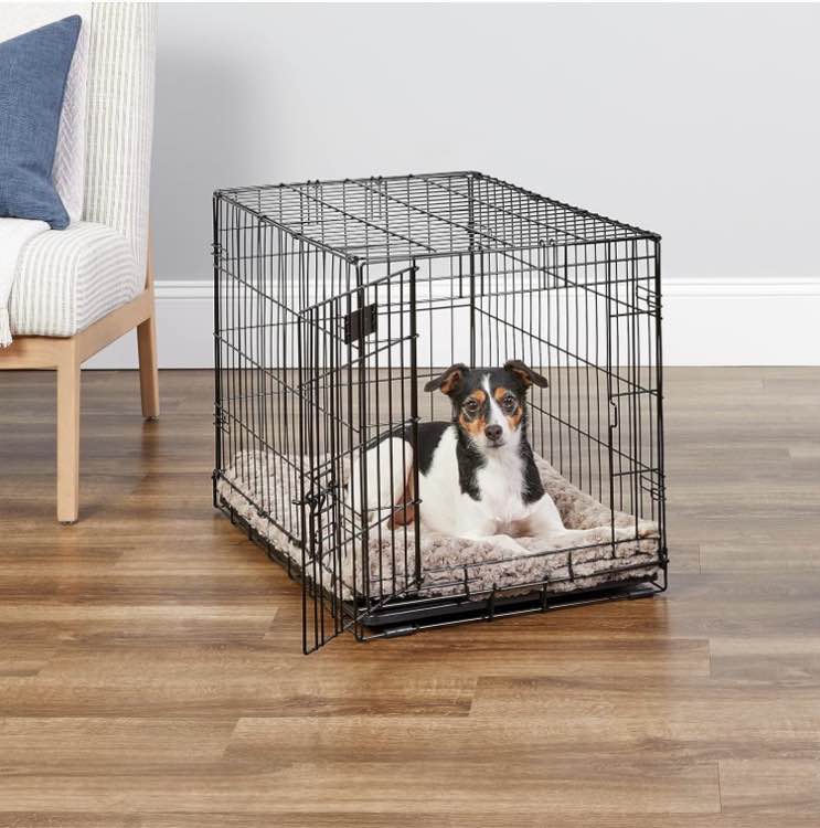 https://s3.amazonaws.com/lotting-images-prod/phillipi/YEL5918865_1720540181320.jpeg